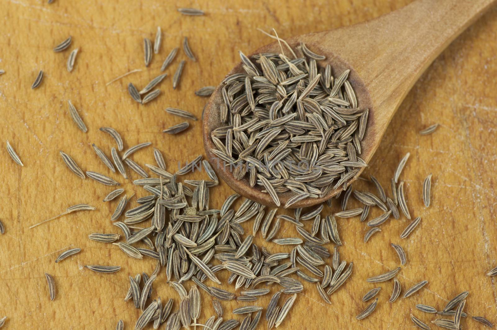 Caraway (Carum carvi) seeds by dred