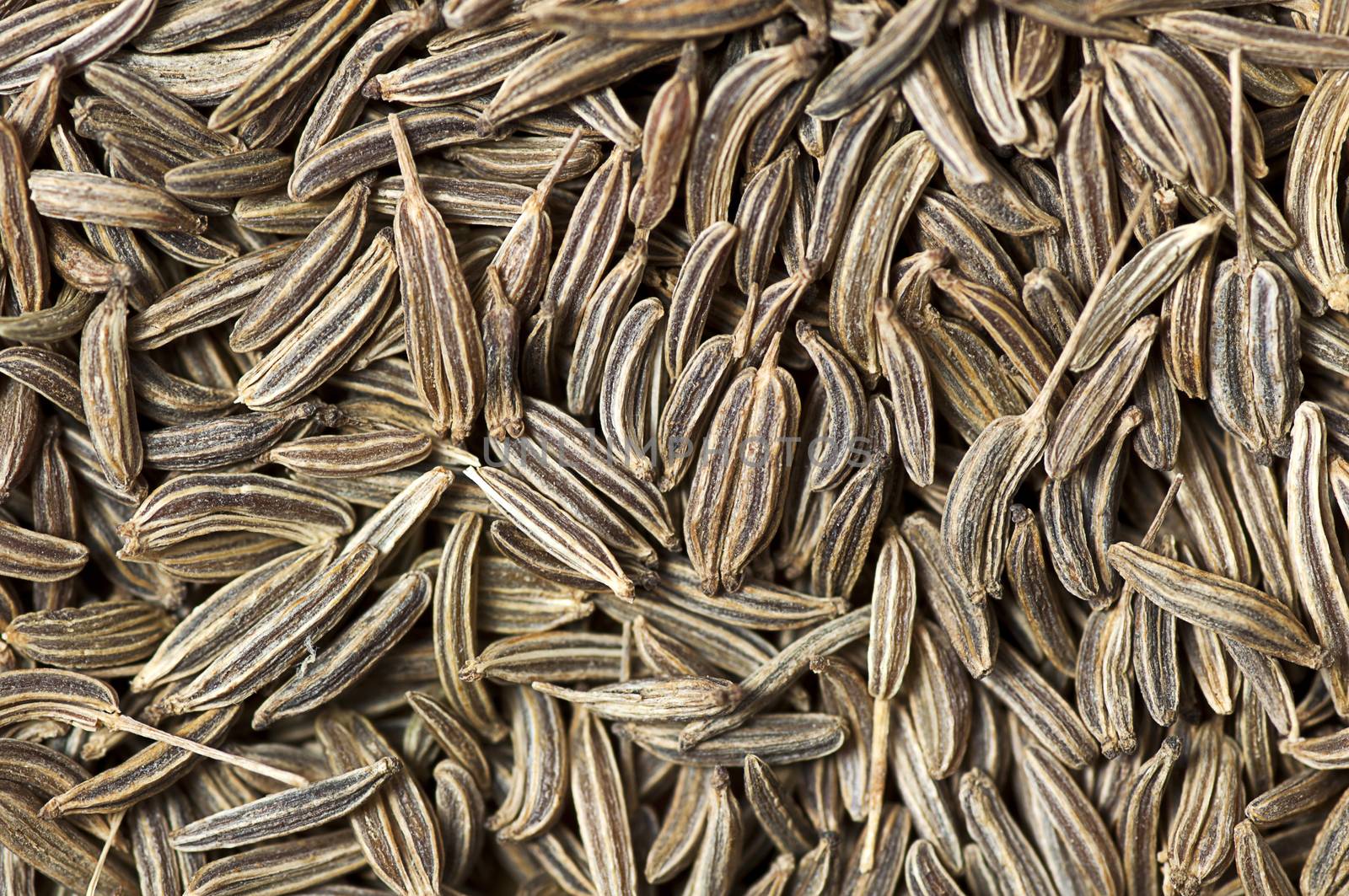 Background made of caraway (Carum carvi) seeds 