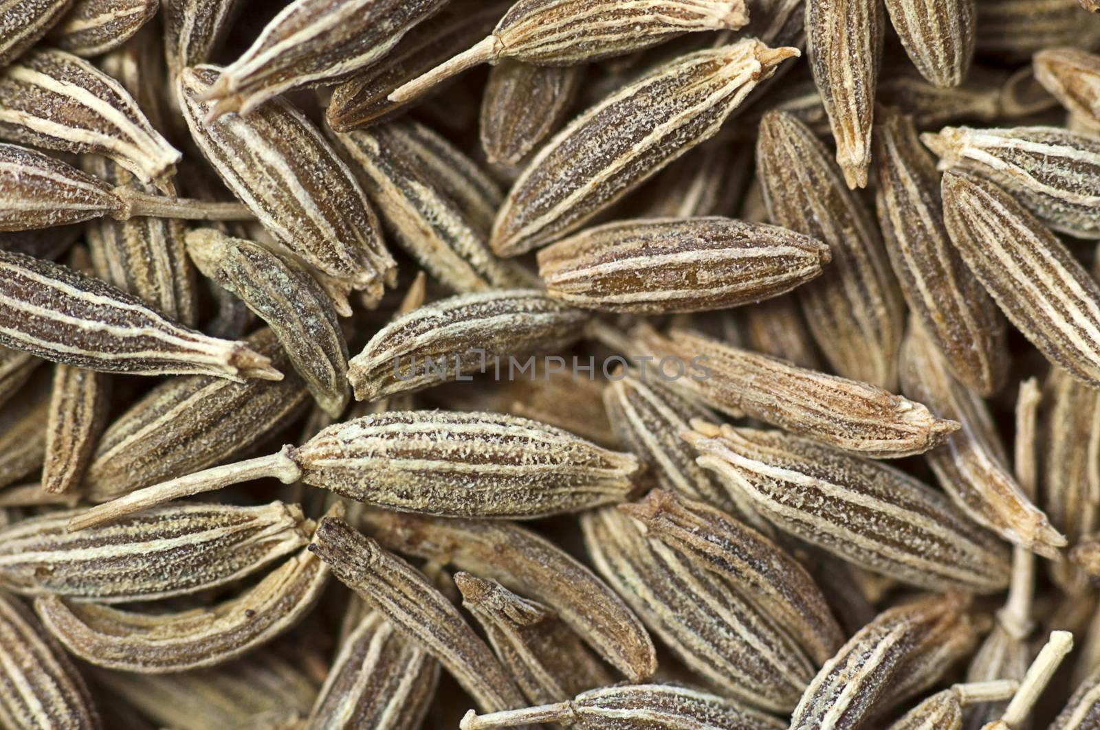 Background made of cumin seeds close up