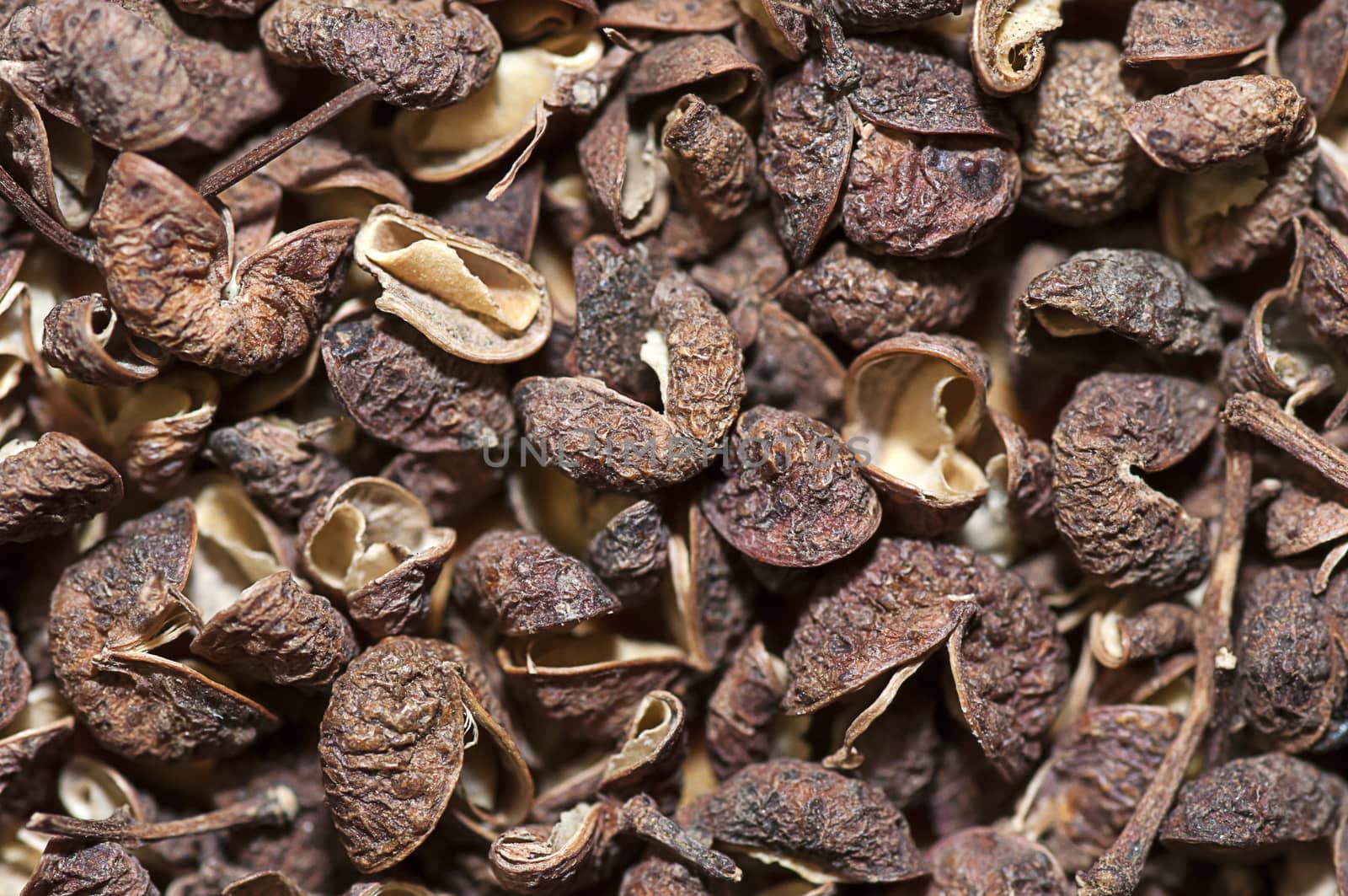 Sichuan pepper by dred