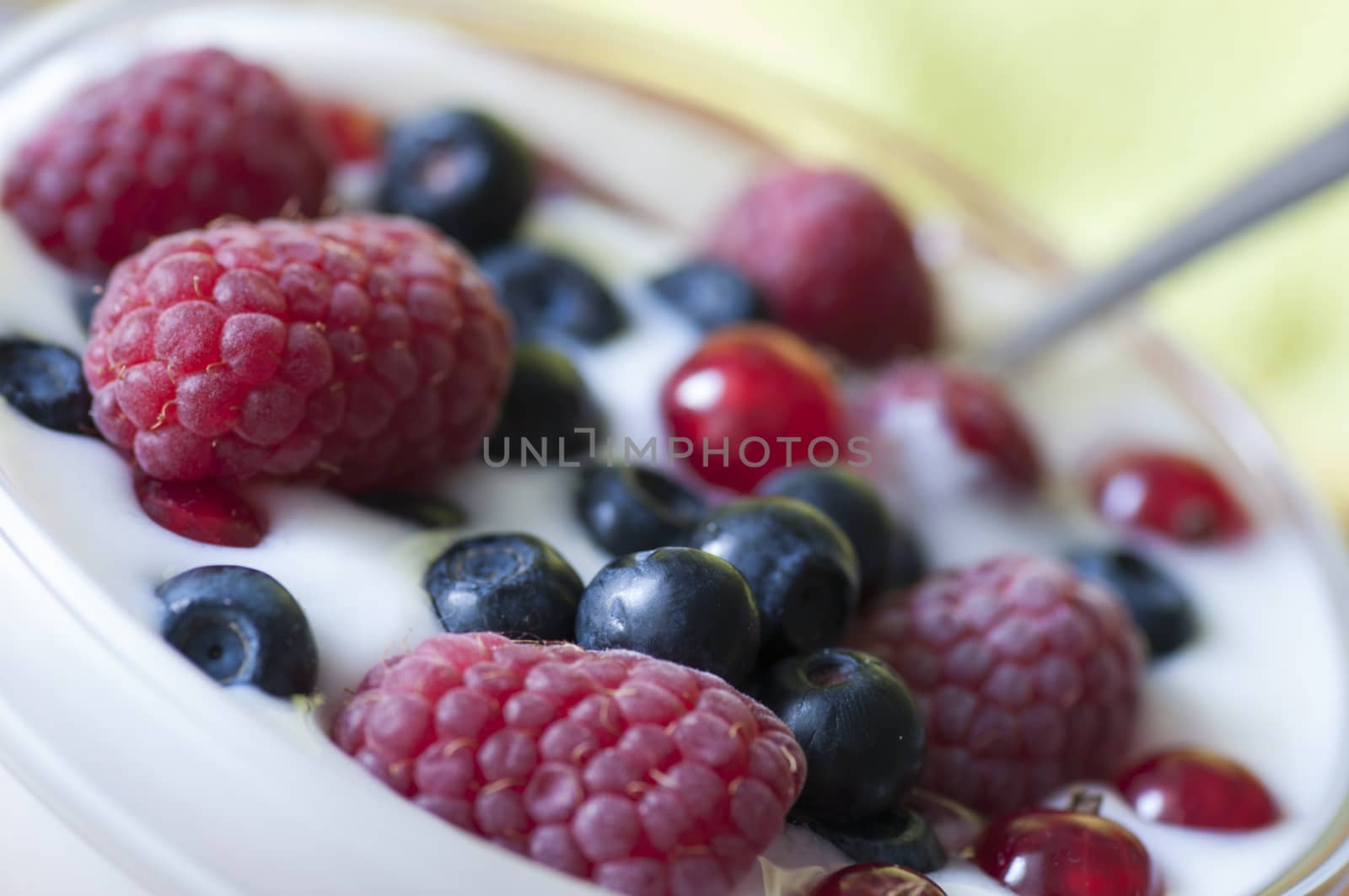 Delicious dessert made of yoghurt and ripe berries (raspberry, red currant and blueberry)