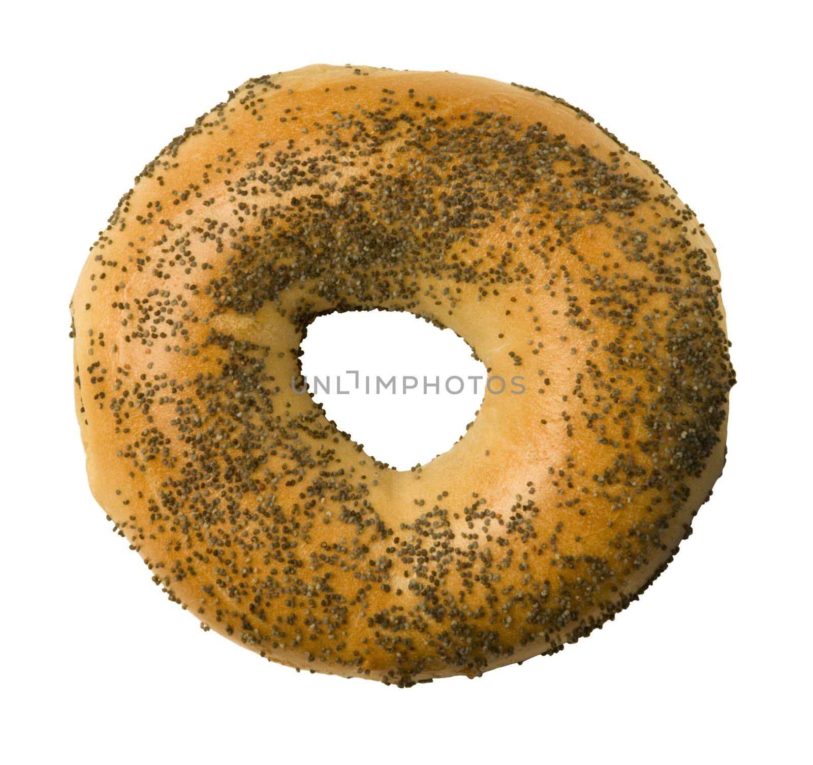 Poppy seed bagel isolated against a white background