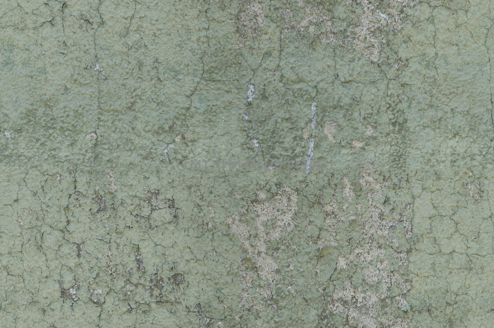Grayish Green Weathered and Distressed Textured Background Wall  by Balefire9