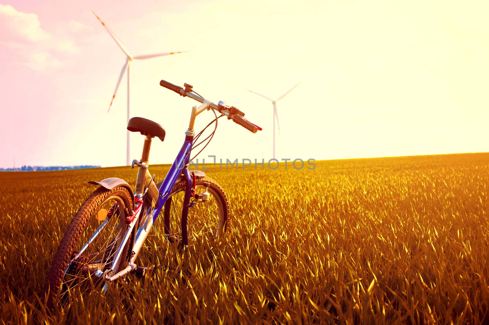 Bike on the field with grass at gold sunset. Summer and sport image. 