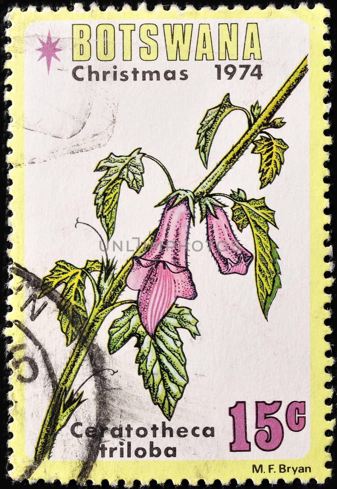 BOTSWANA - CIRCA 1974: A Stamp printed in Botswana a shows image "Cerathopeca triloba", in 1974