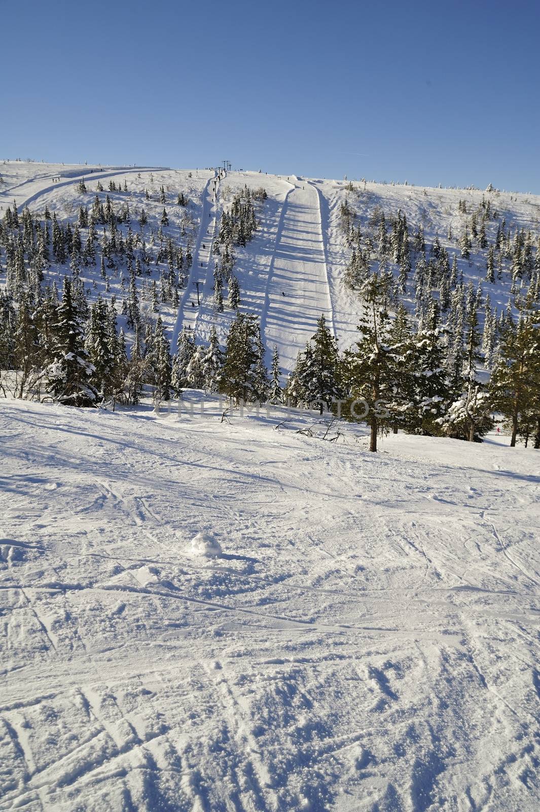 Winter scenery of Tandadalen in Sweden.