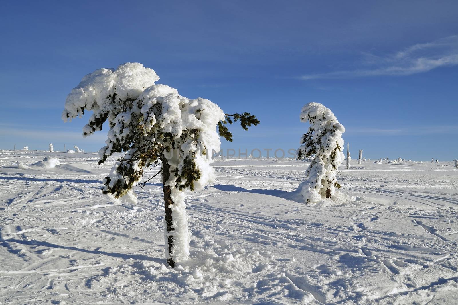 Winter scenery of Tandadalen in Sweden.