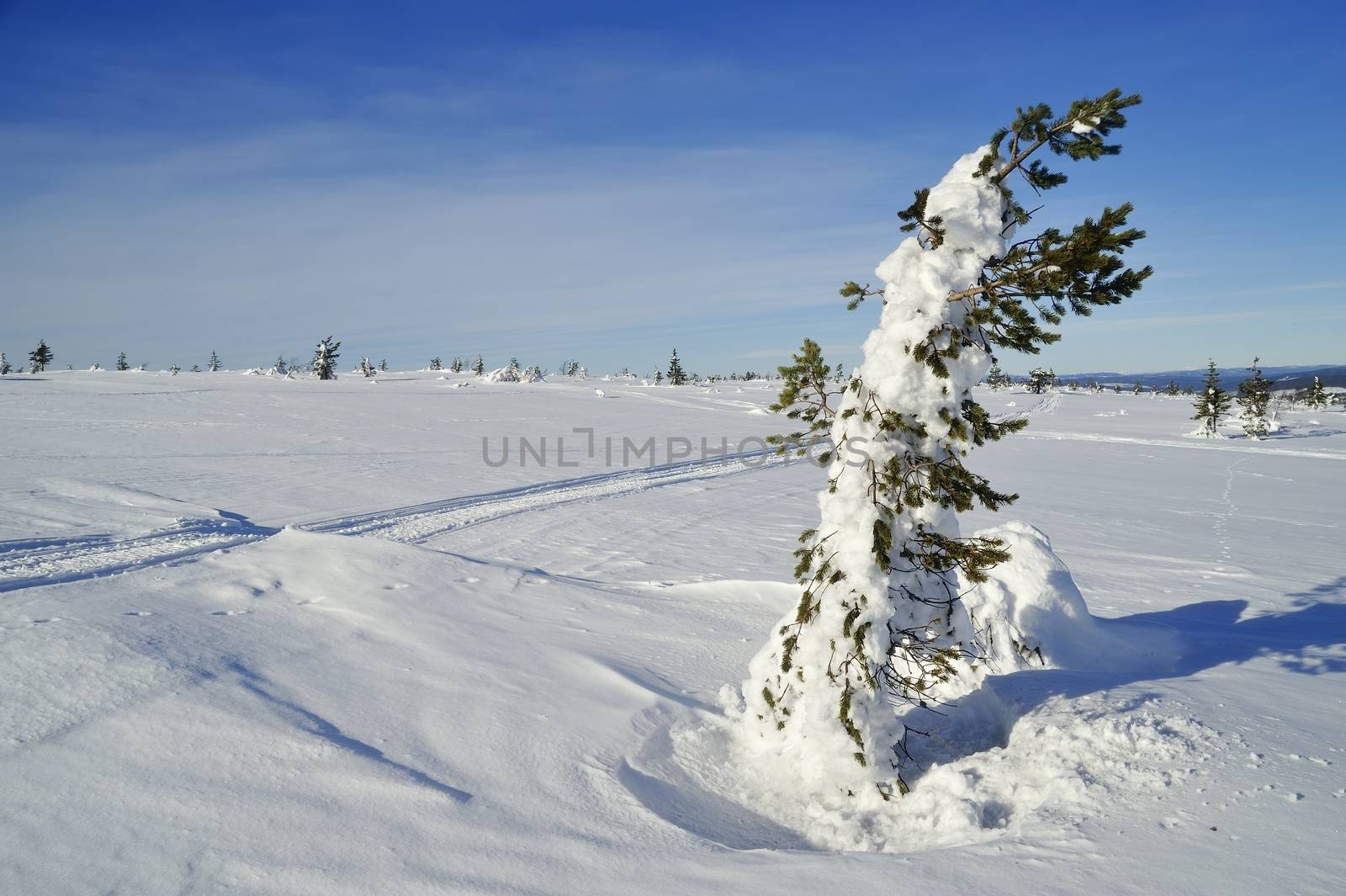 Winter scenery of Tandadalen in Sweden.