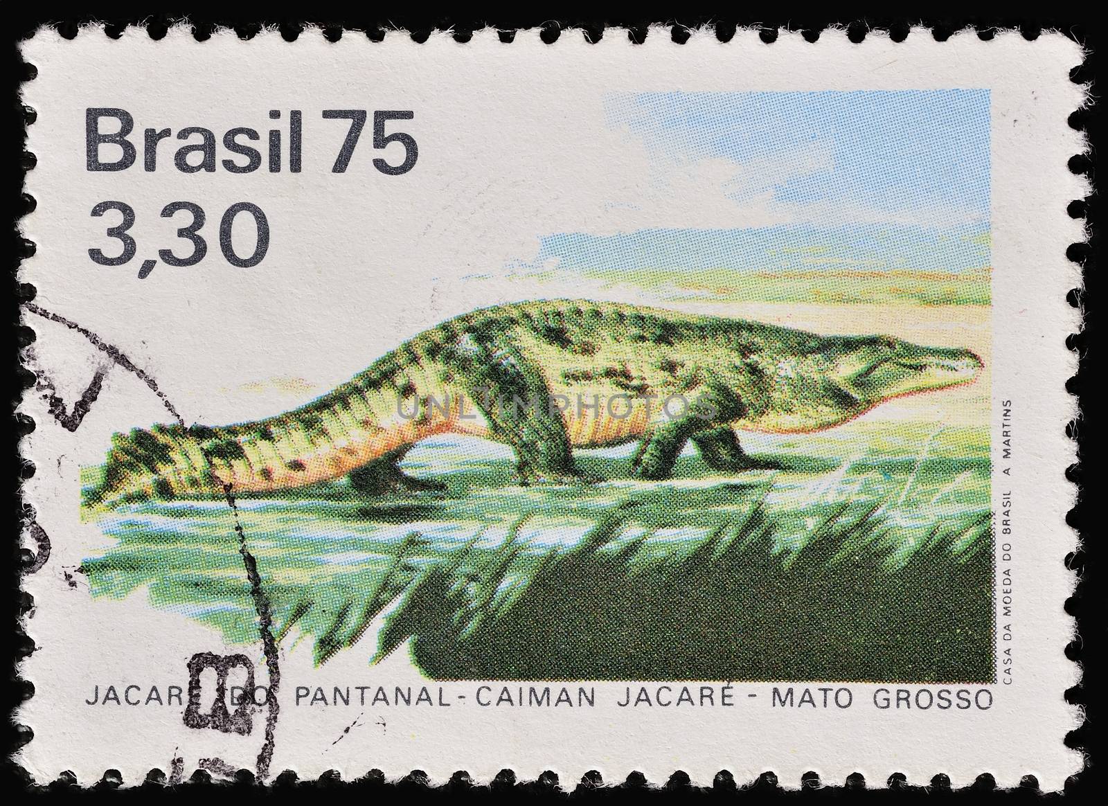 BRAZIL - CIRCA 1975: A stamp printed in Brazil shows Brazilian caiman, circa 1975