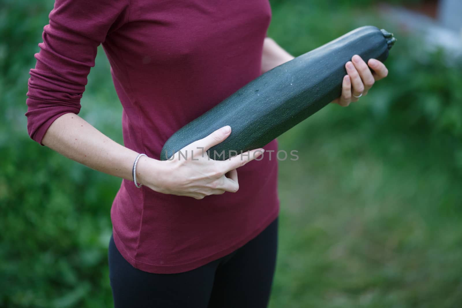 Woman holding a freshly harveseted squash. Locavore movement, local farming, harvesting concept
