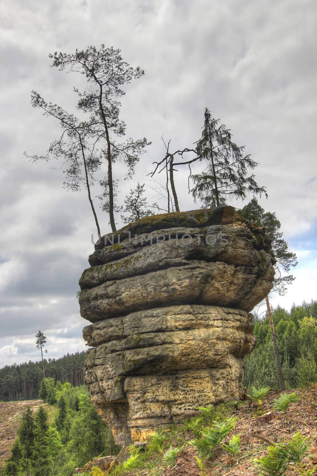 Puffball - bizarre rock formation in the forests of the Kokorin area, Czech republic