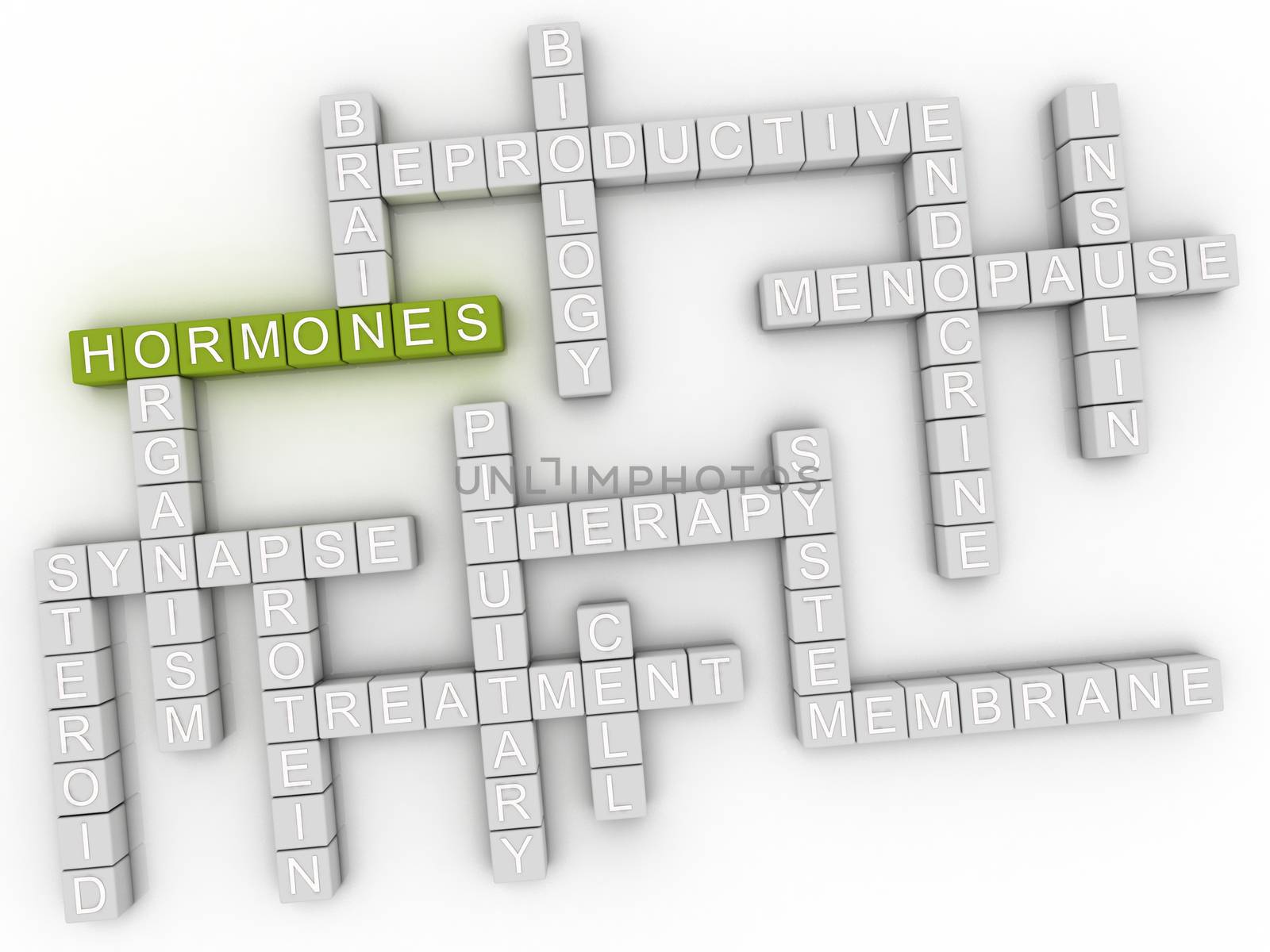 3d image Hormones issues concept word cloud background by dacasdo