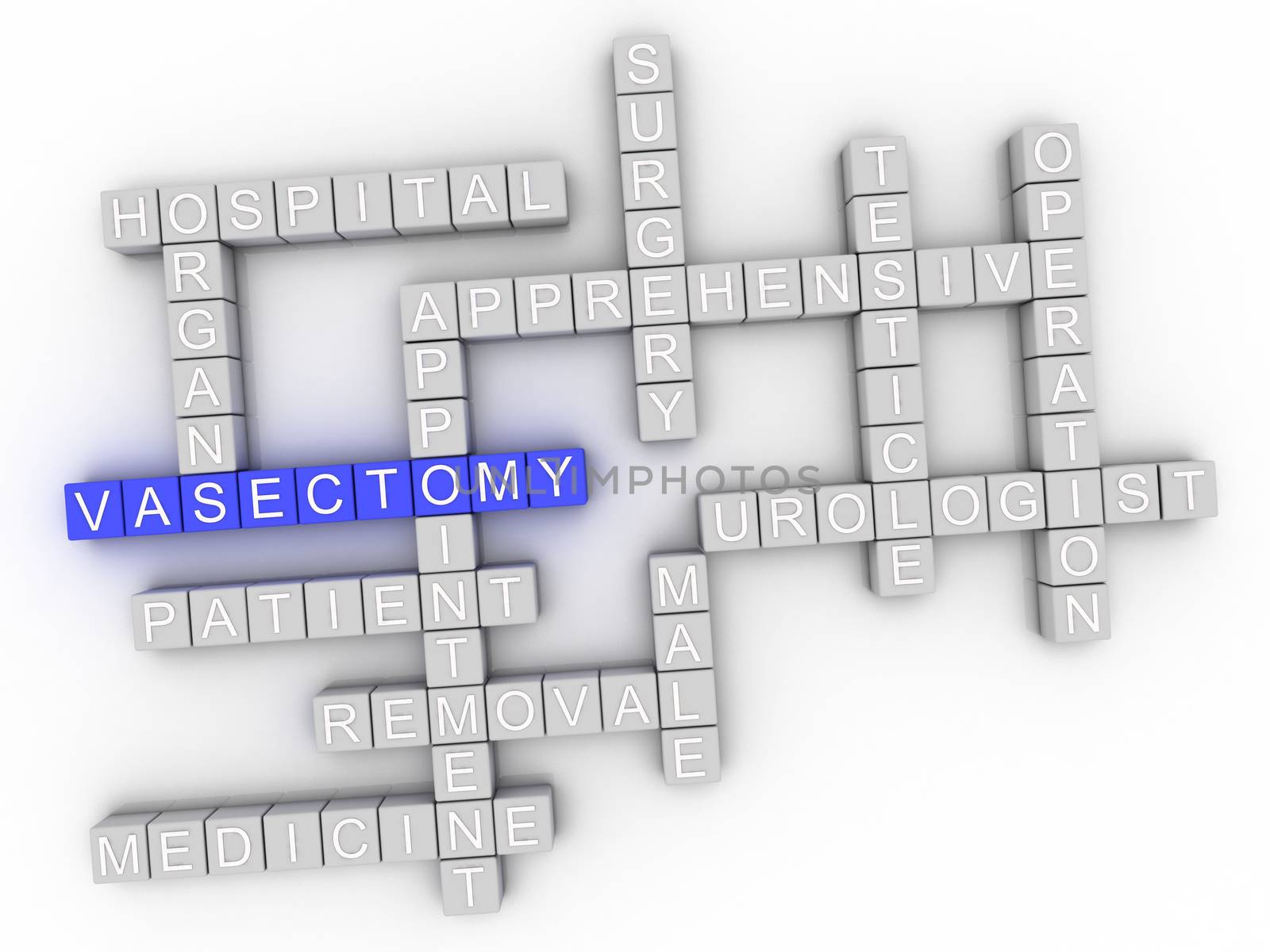 3d image Vasectomy issues concept word cloud background