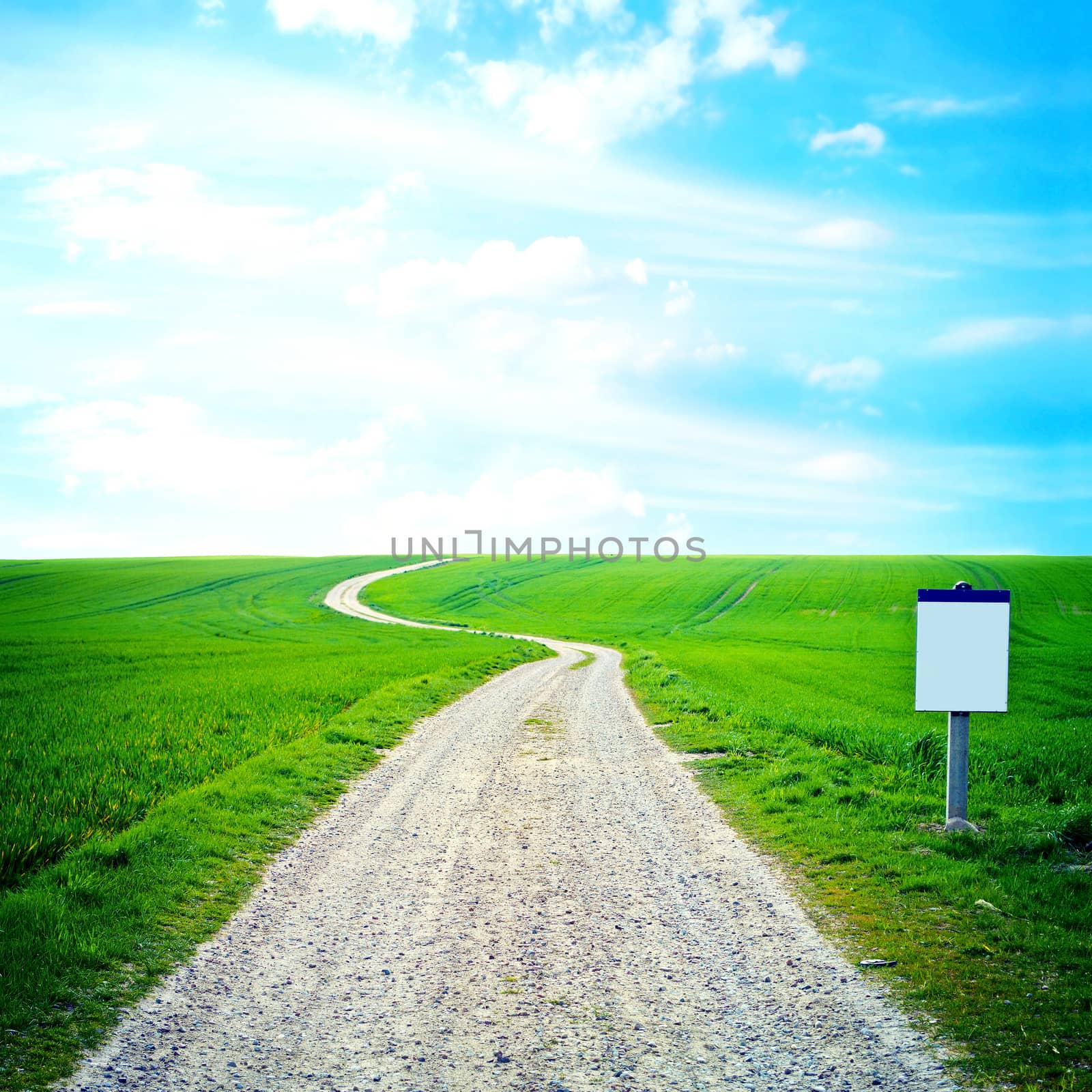 Green field and blue sky image. Country path on the green field at summer. 