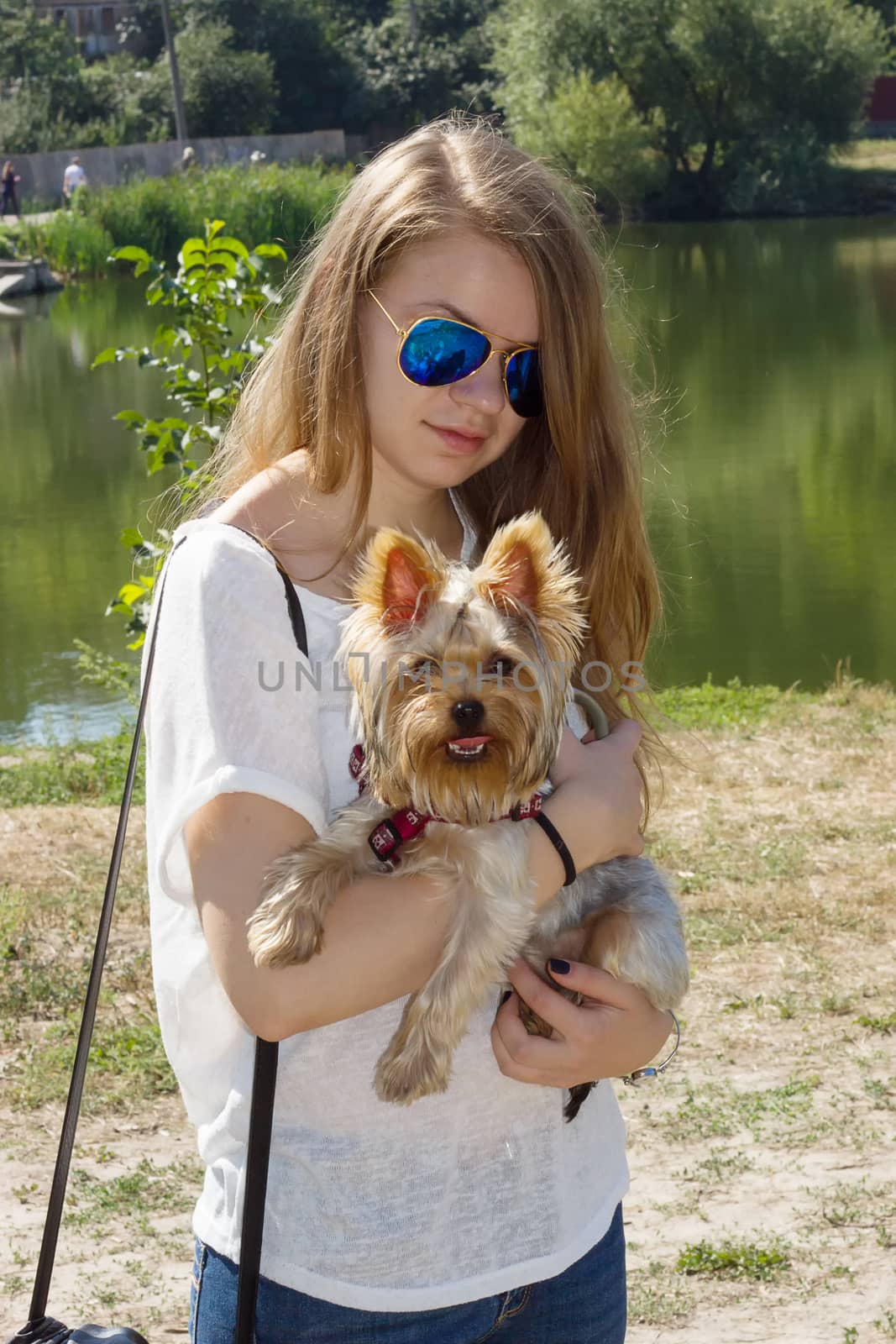 Happy young girl owner with yorkshire terrier dog walking in the park