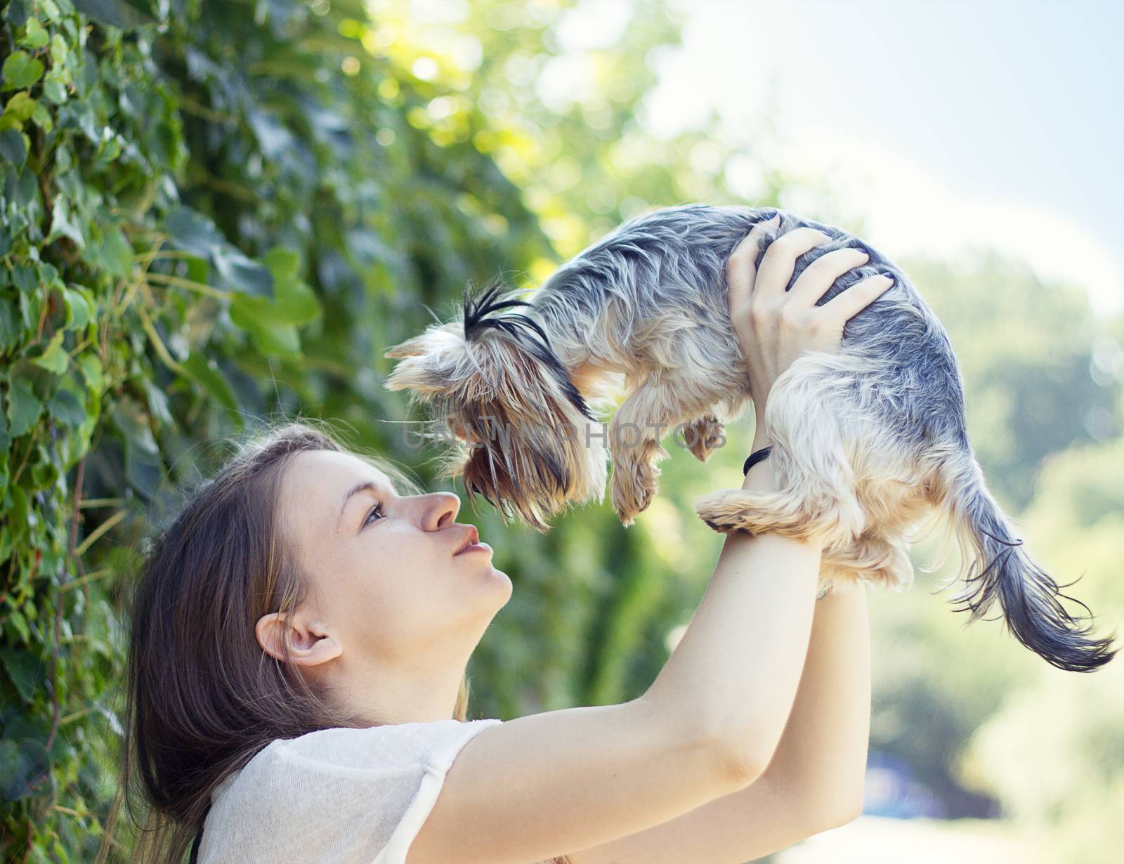Beautiful woman to kiss the dog Yorkshire terrier