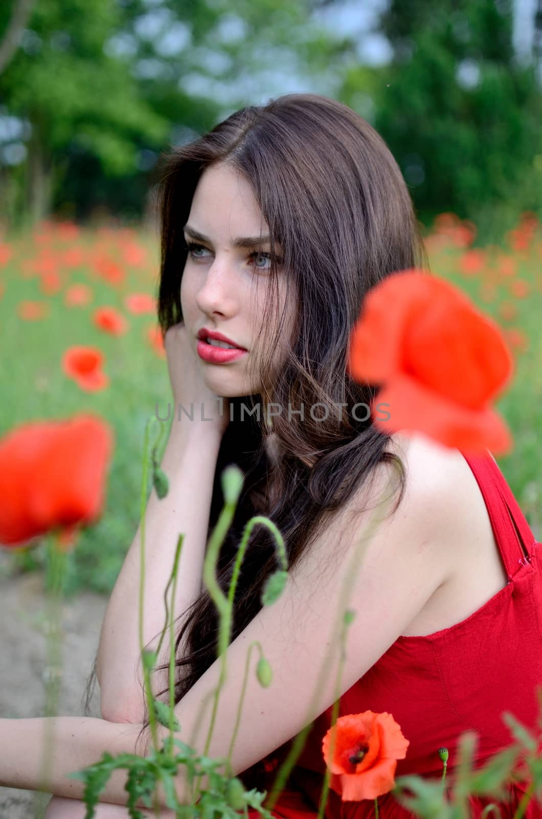 Beautiful brunette with poppies by bartekchiny