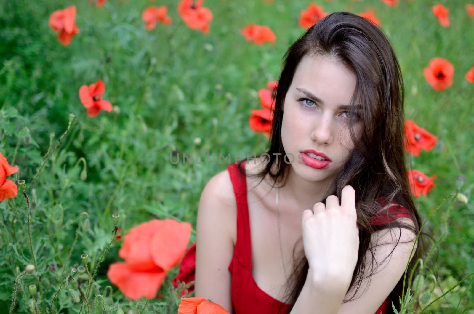 Young female model posing surrounded by poppies flowers. Brunette girl wearing red dress.