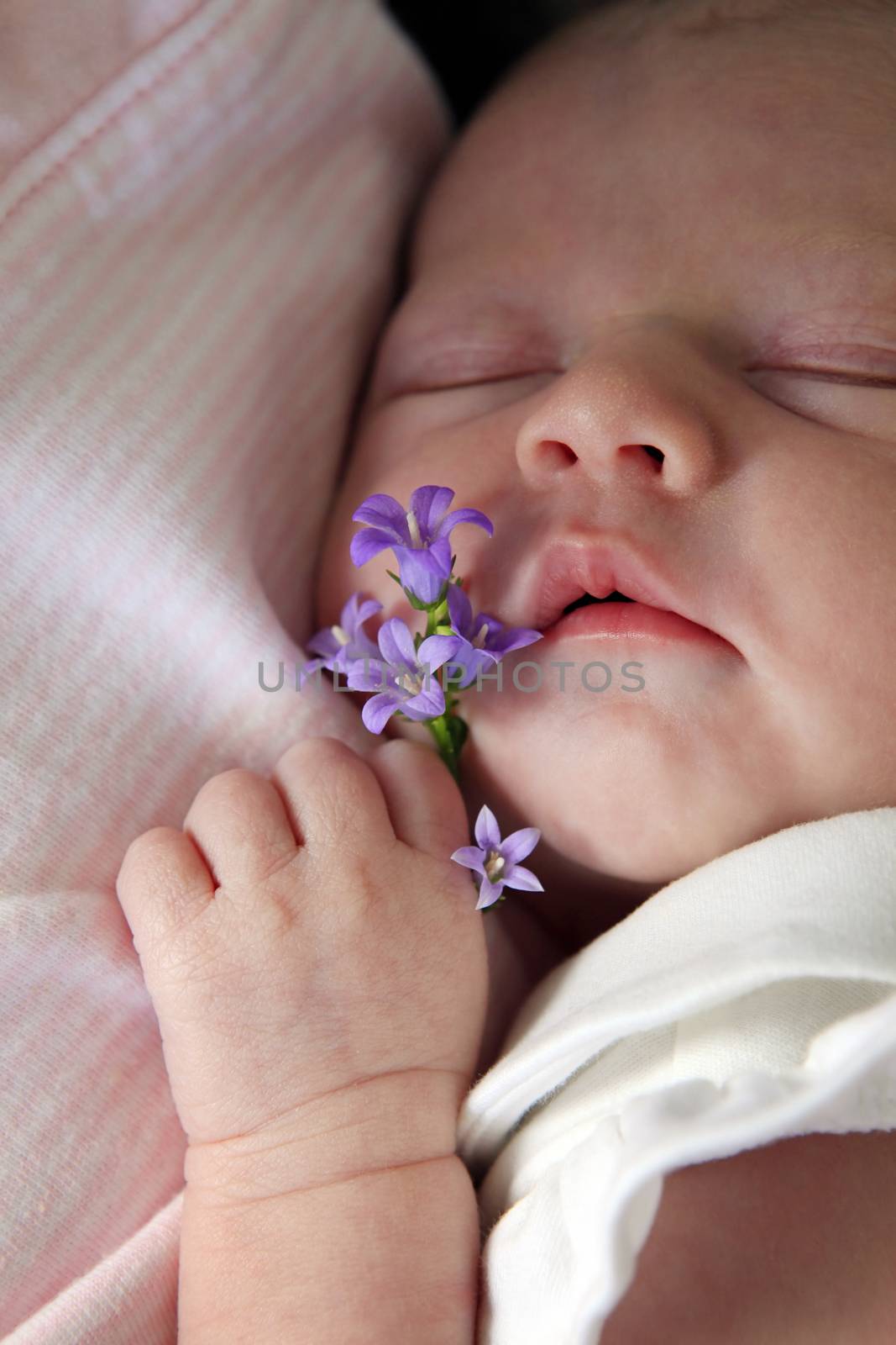 Sleeping newborn baby. The first days of life of the newborn girl