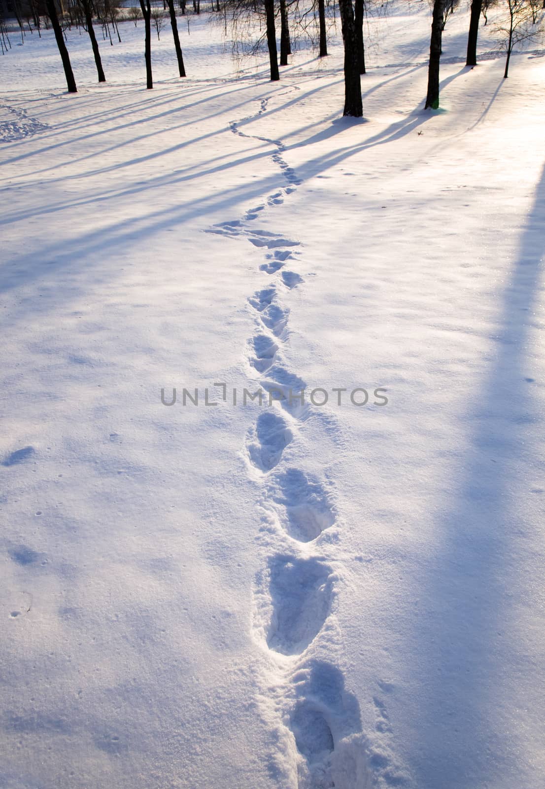 human footprints left in the snow. Winter