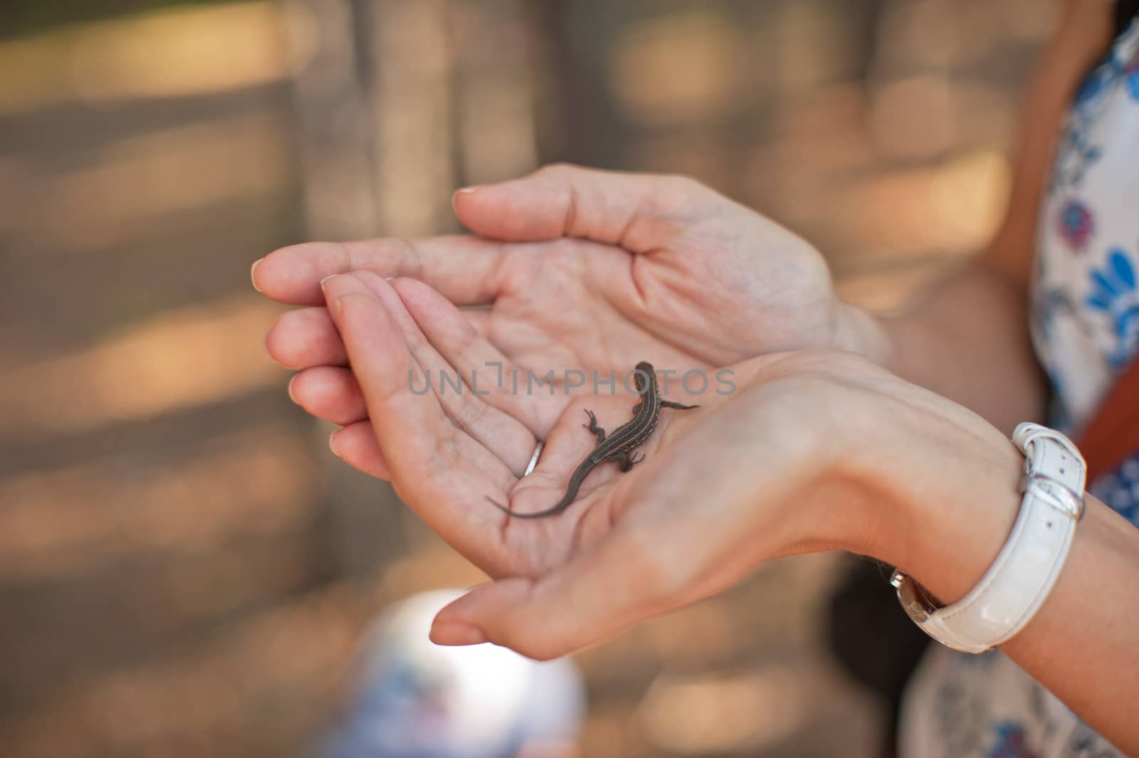 Woamn find lizard in the forest
