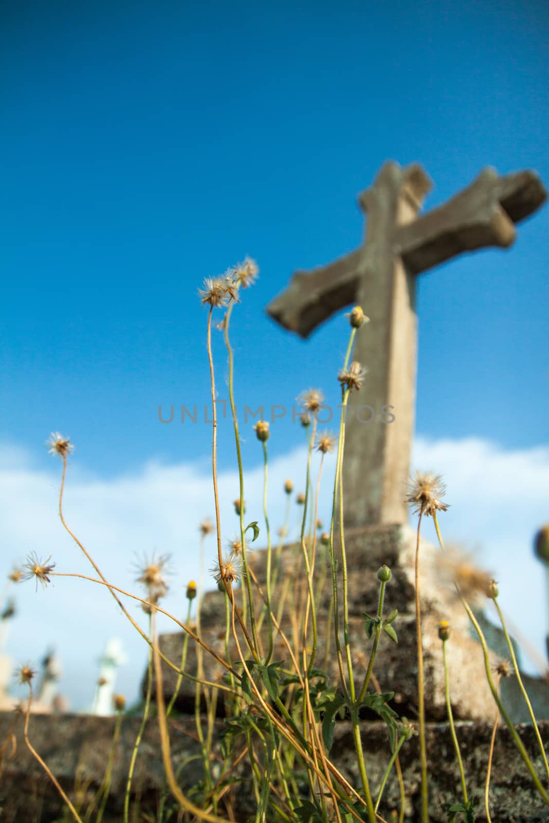 Christian cross and flower