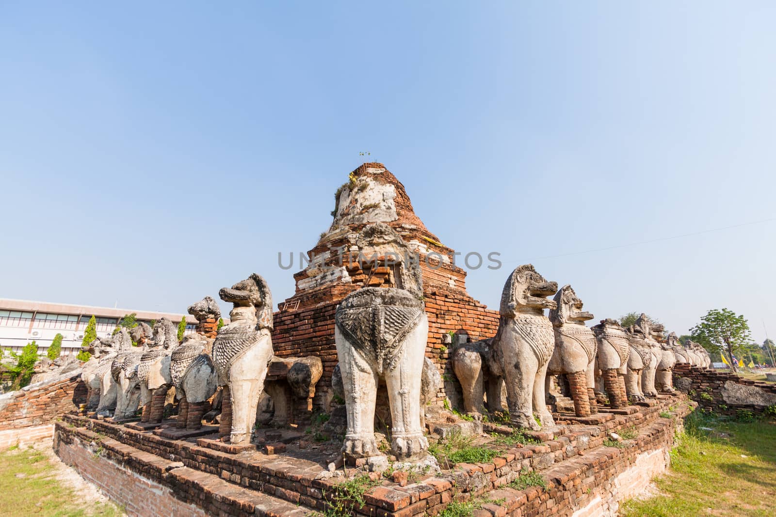 Ruins lion statue in Ayutthaya Historical Park, Thailand