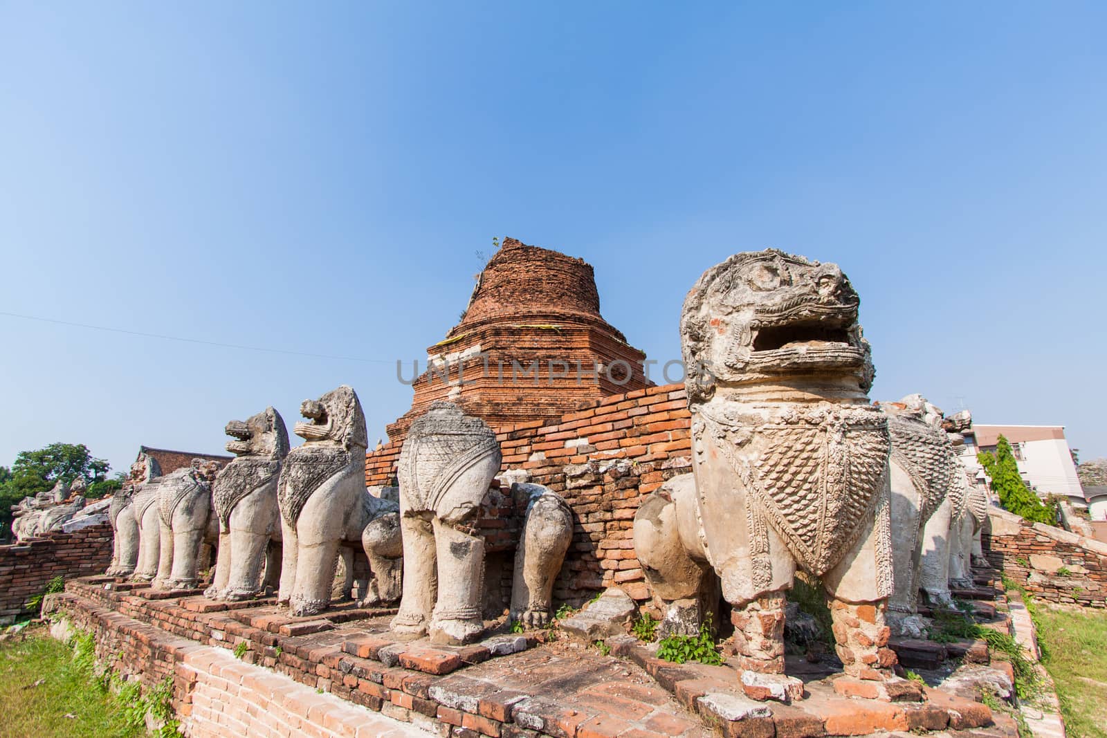 Ruins lion statue in Ayutthaya Historical Park, Thailand by kritsada1992