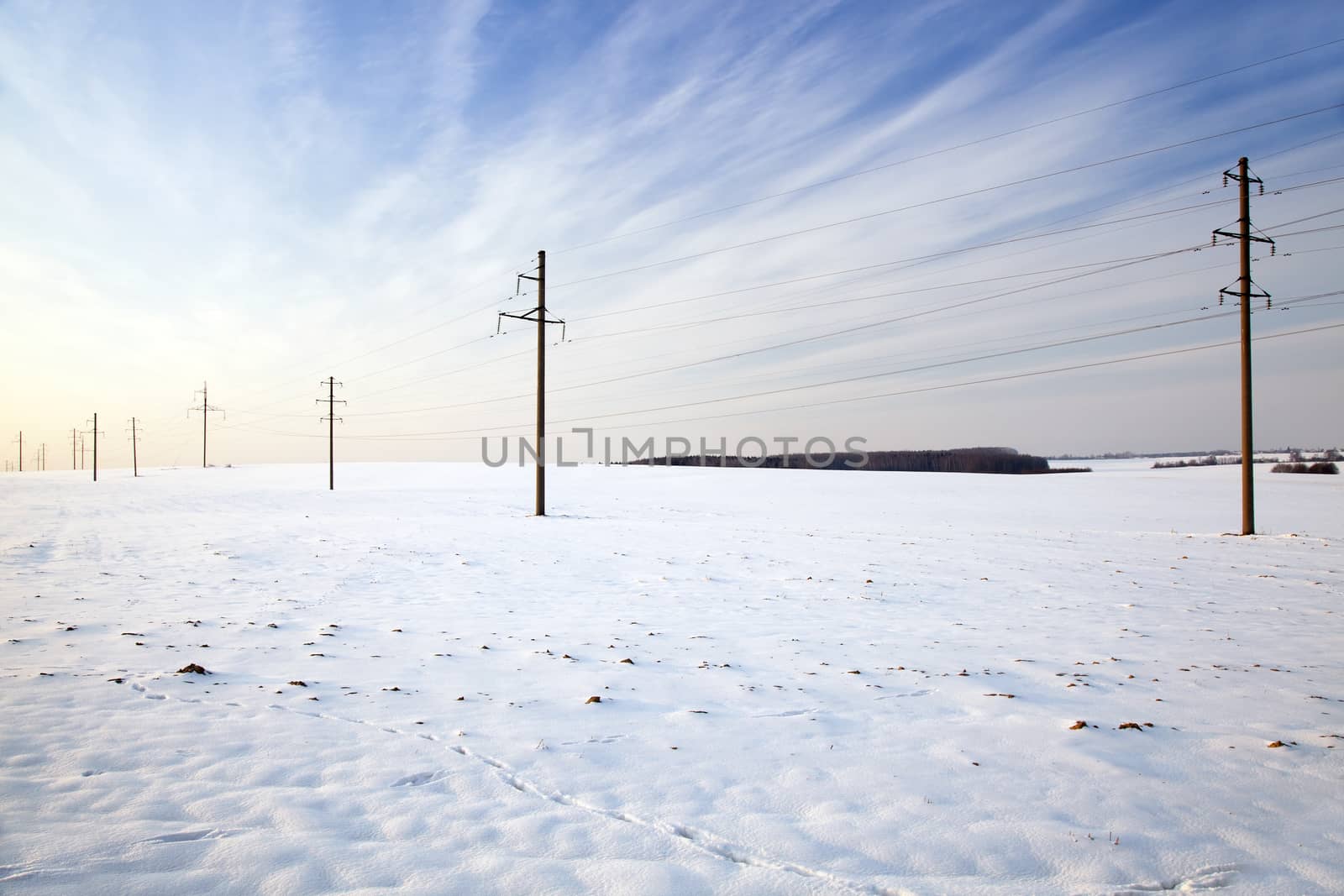  the electric columns put through an agricultural field. winter