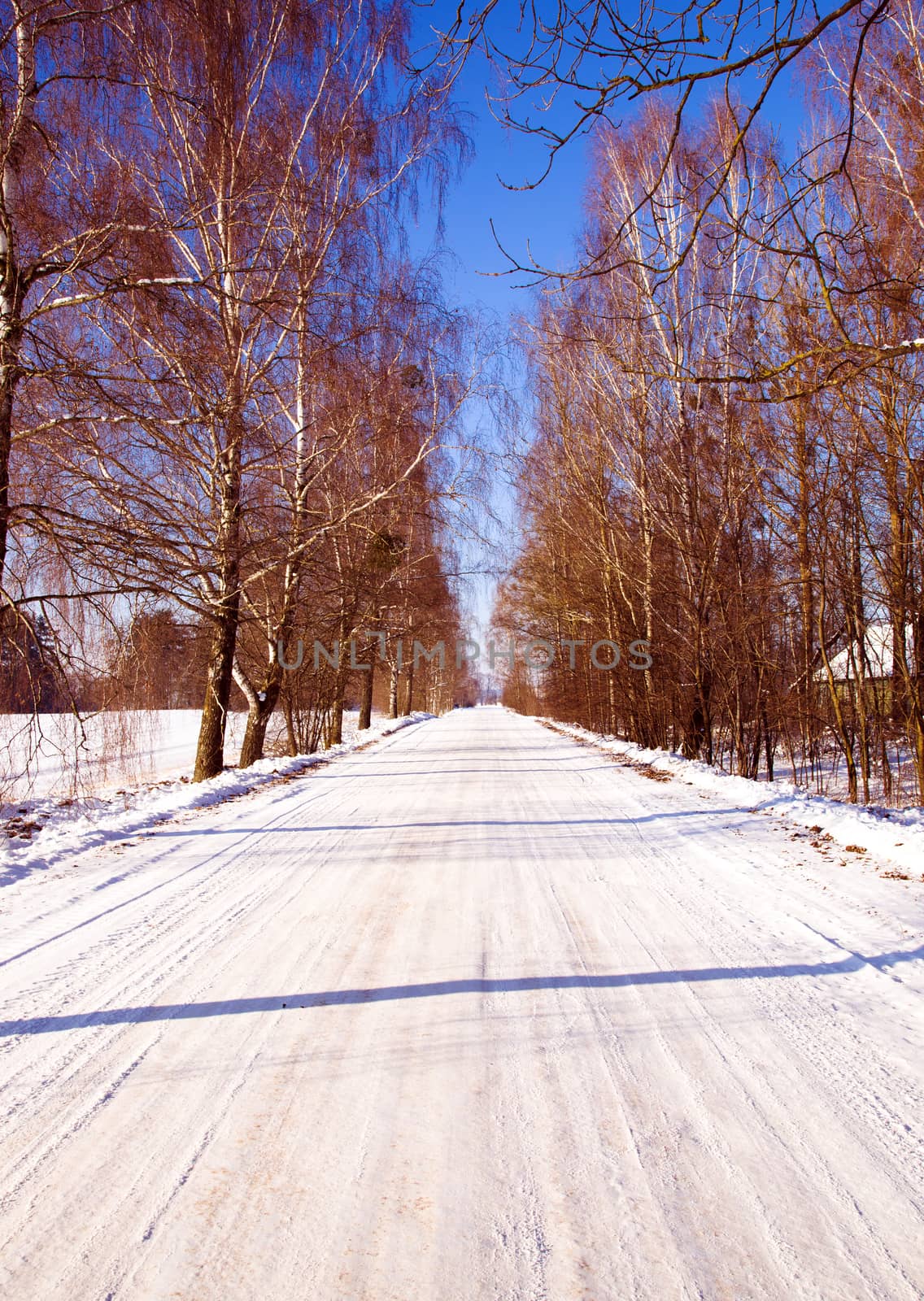a small road in winter .  landscape