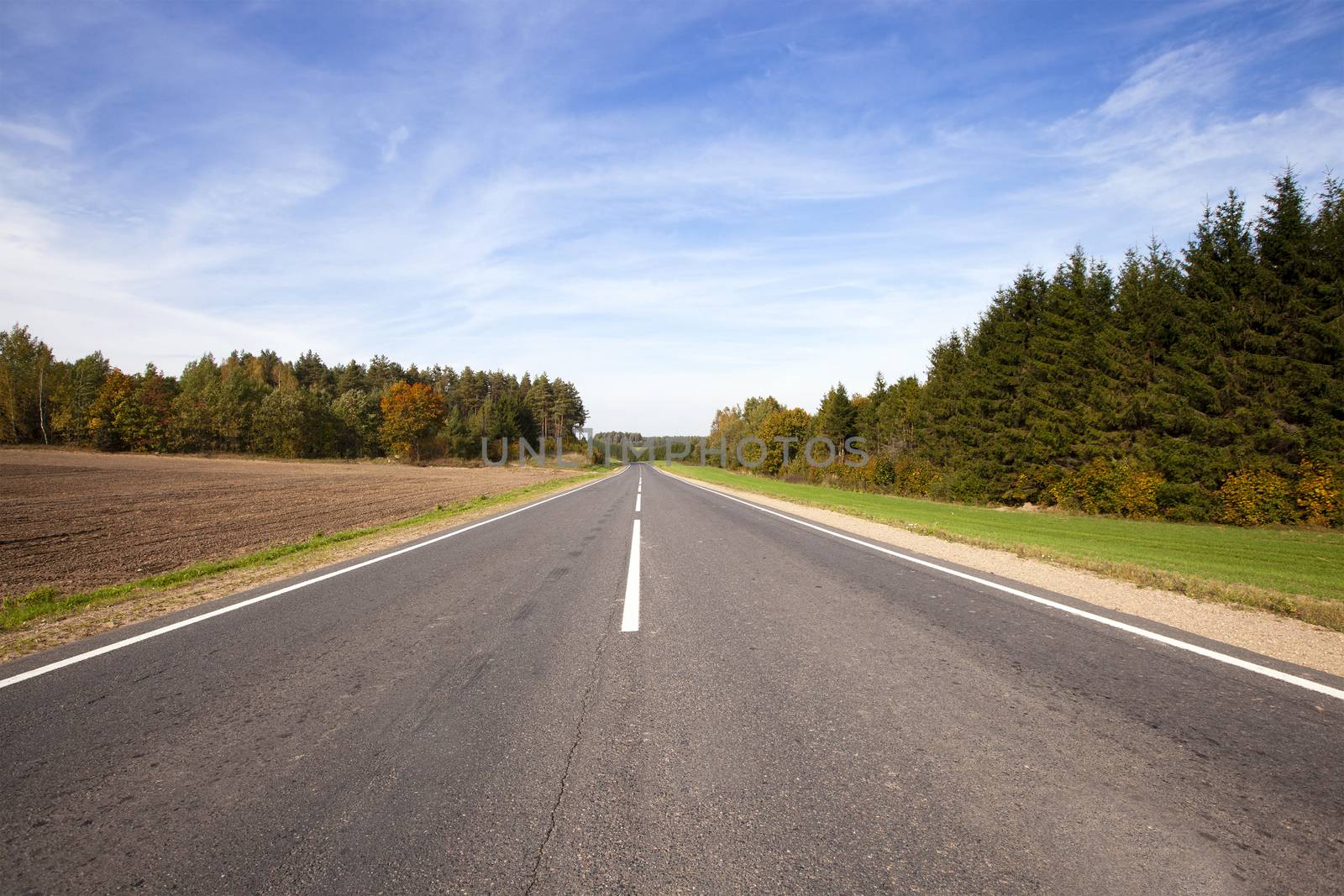 little asphalted road in the summer time