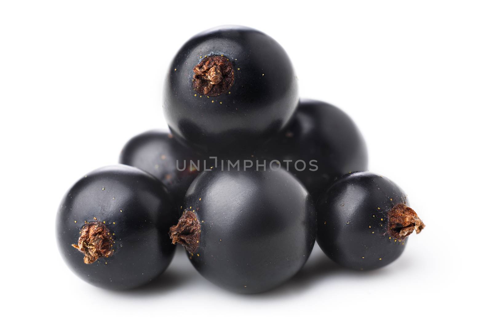 Black currant berries isolated on white. Highly detailed image