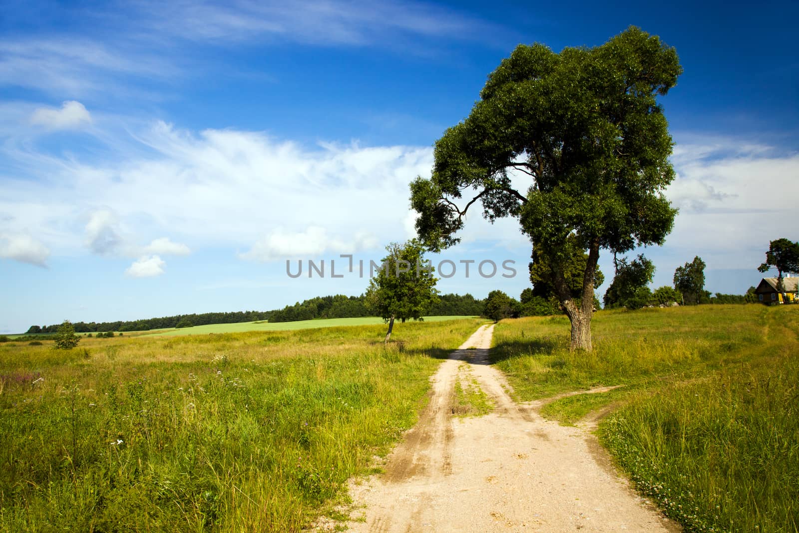  rural road in the summer time year
