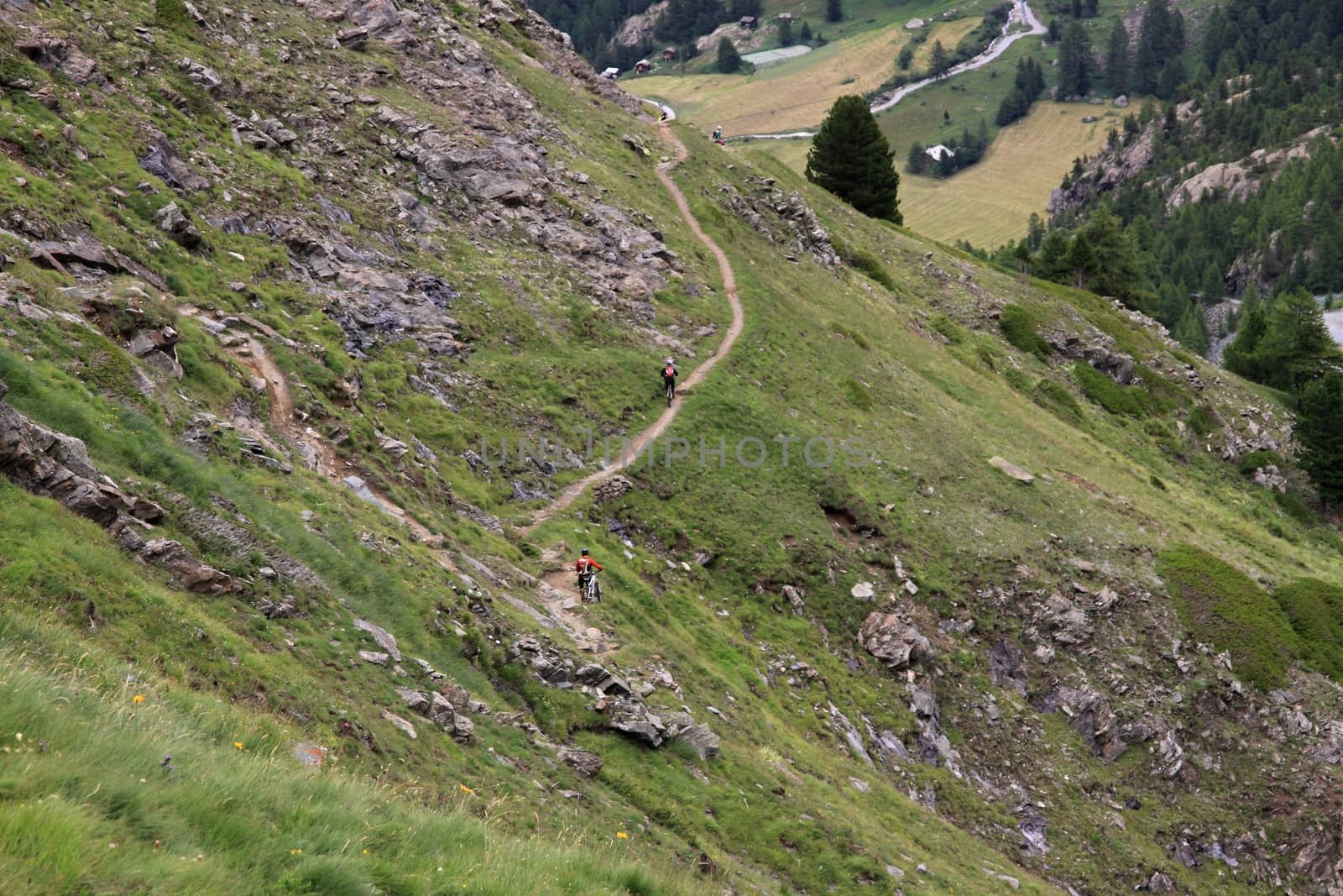 cyclists flock along the narrow path in the Swiss alps near Matterhorn 