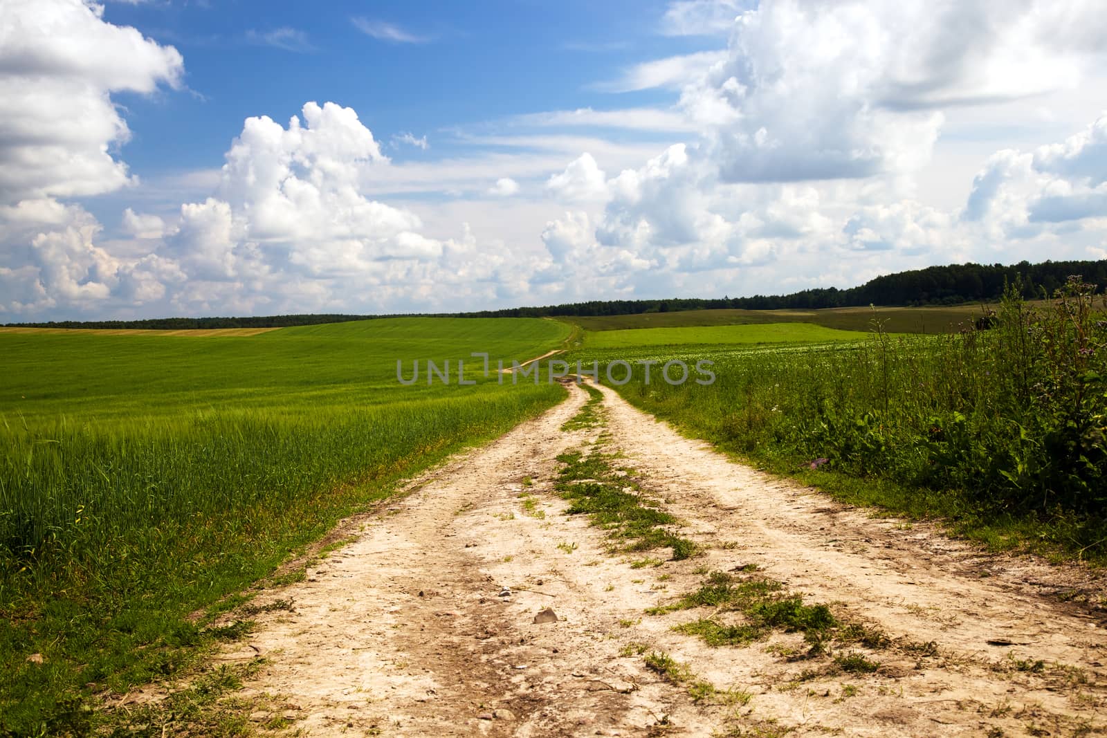  rural road in the summer time year