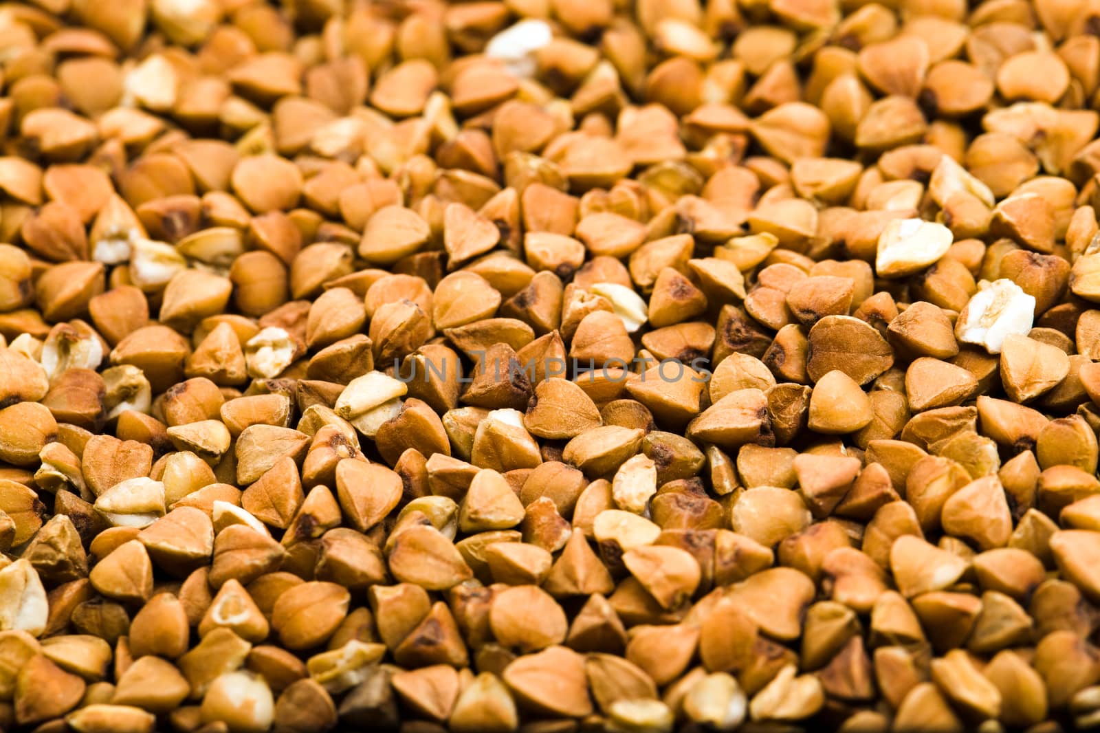 the photographed close up buckwheat