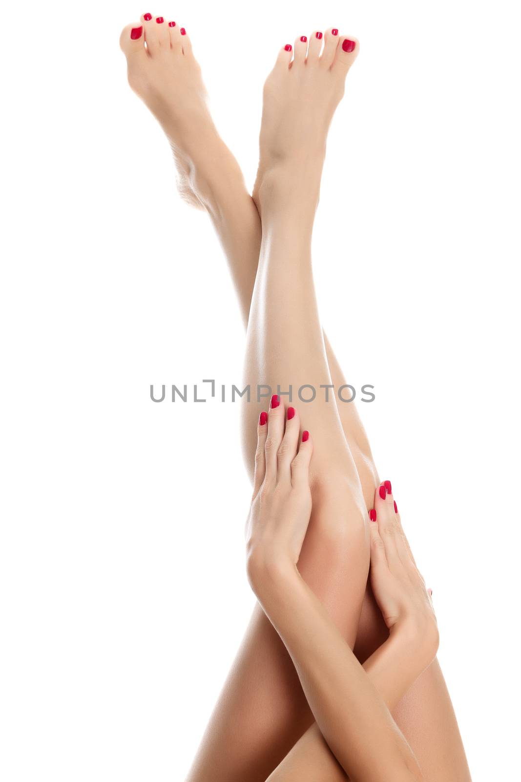 Female legs and hands against a white background, isolated