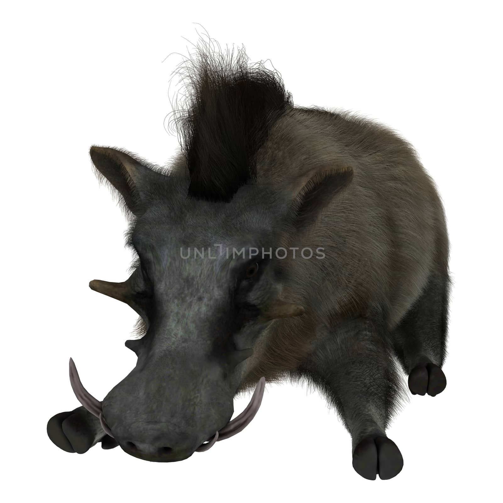 3D digital render of a wild warthog isolated on white background