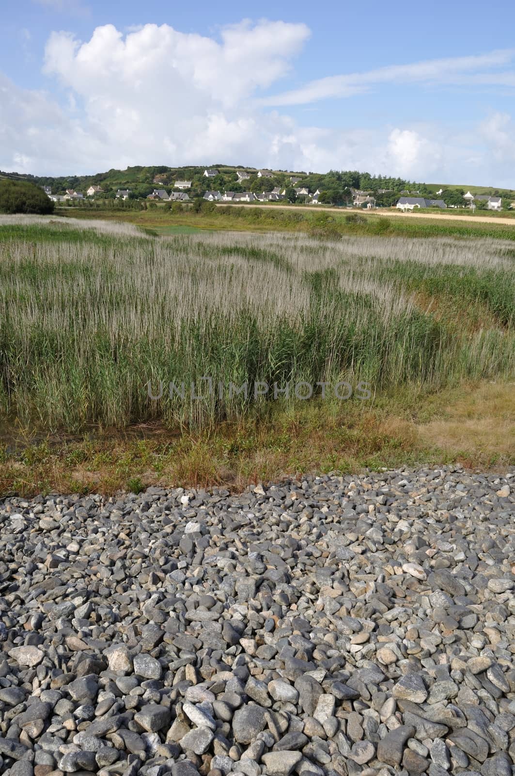 France, Normandy, Cotentin, landscape