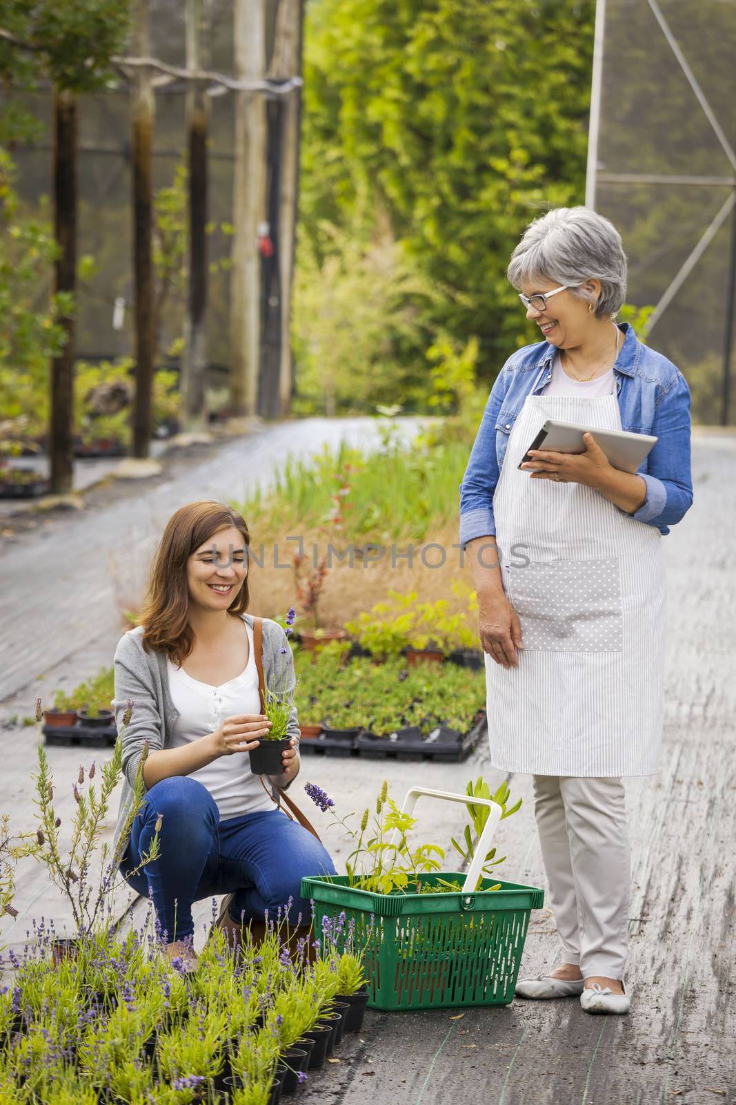 Beautiful mature florist helping a female customer to choose plants