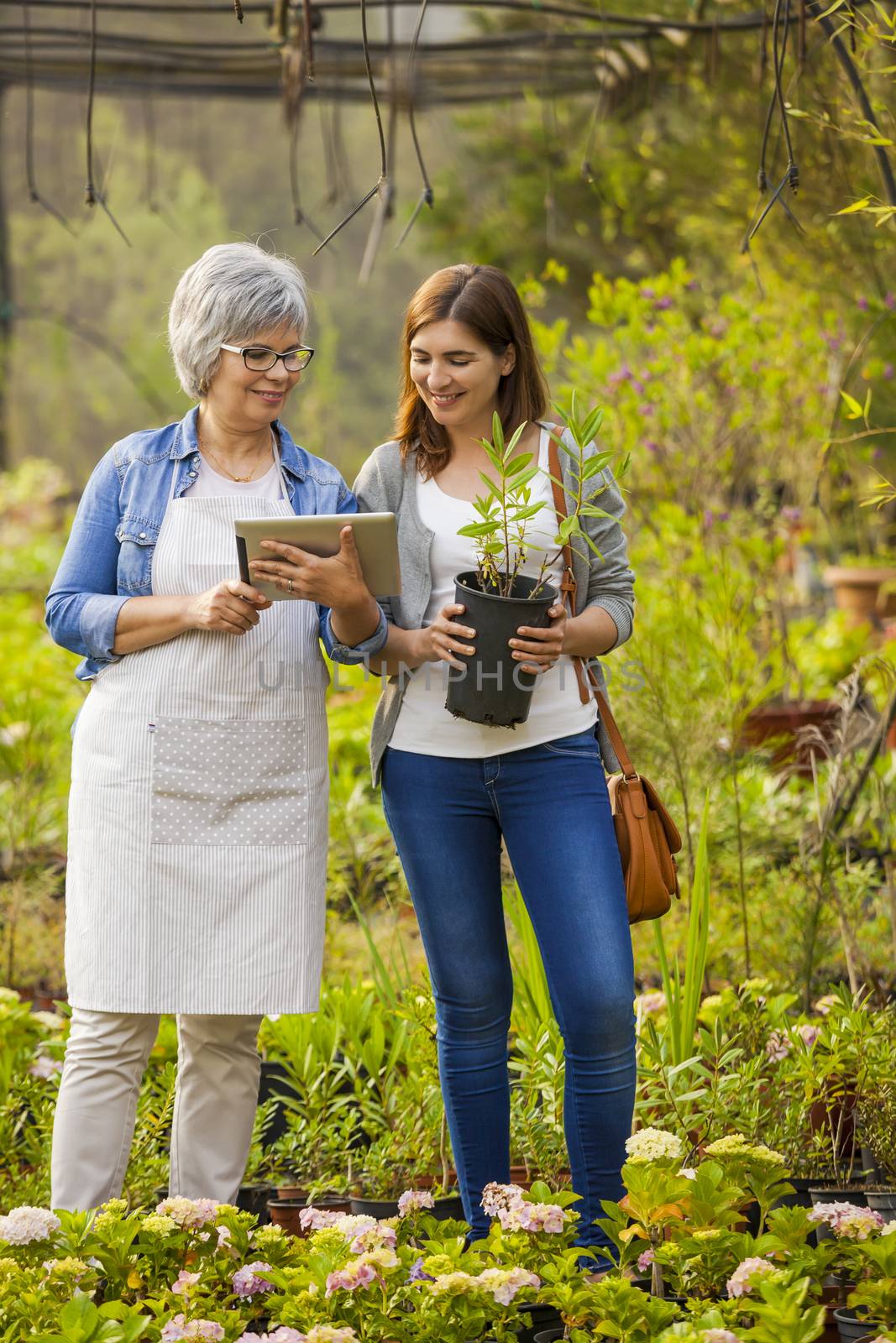 Beautiful mature florist helping a female customer to choose plants