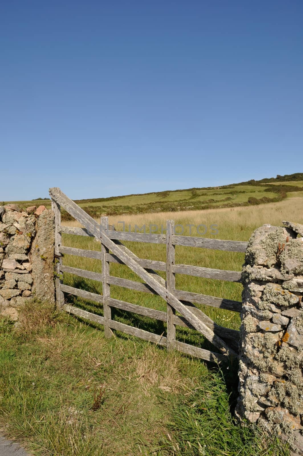 Wooden gate in field