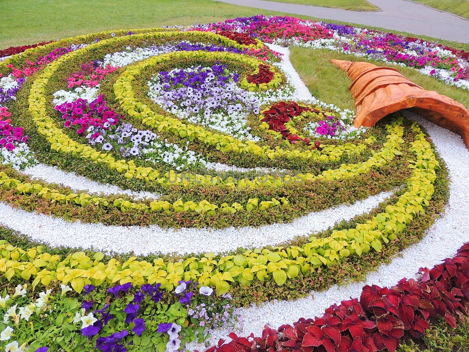 Bright decorative flower bed with clay cornucopia. Flower bed with beautiful design. Floral background.