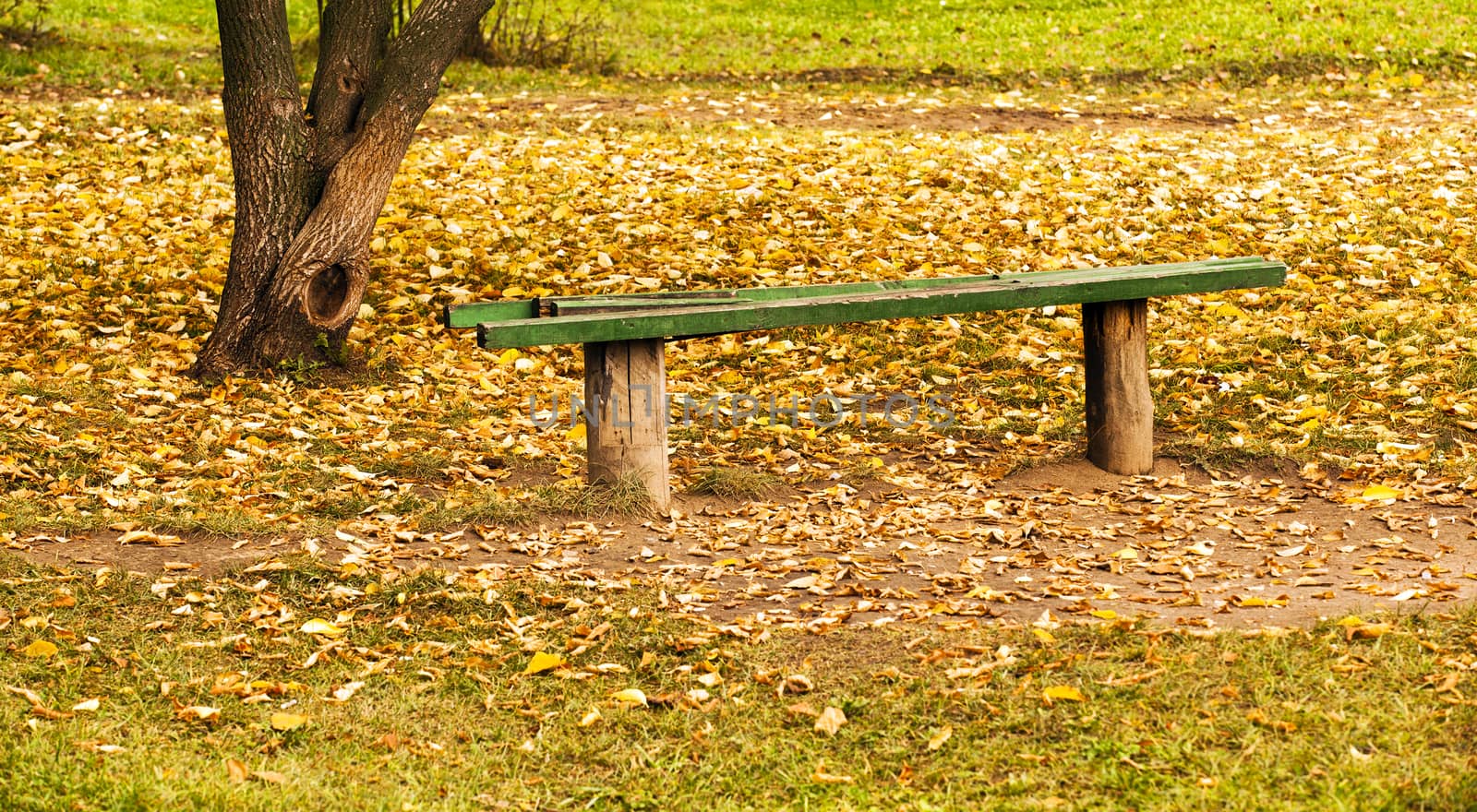  the old broken bench located under a tree. autumn