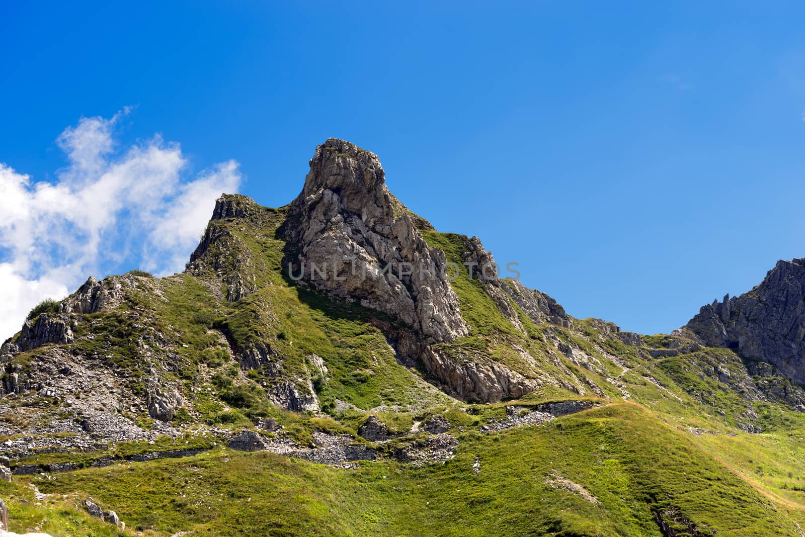 Peaks and mountain meadow in the National Park of Adamello Brenta. Trentino Alto Adige, Italy