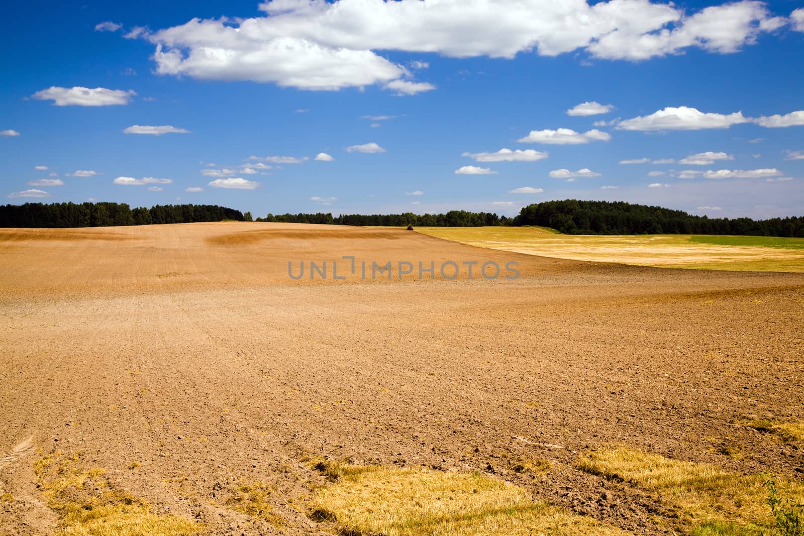 field, on which grow grain during harvest company