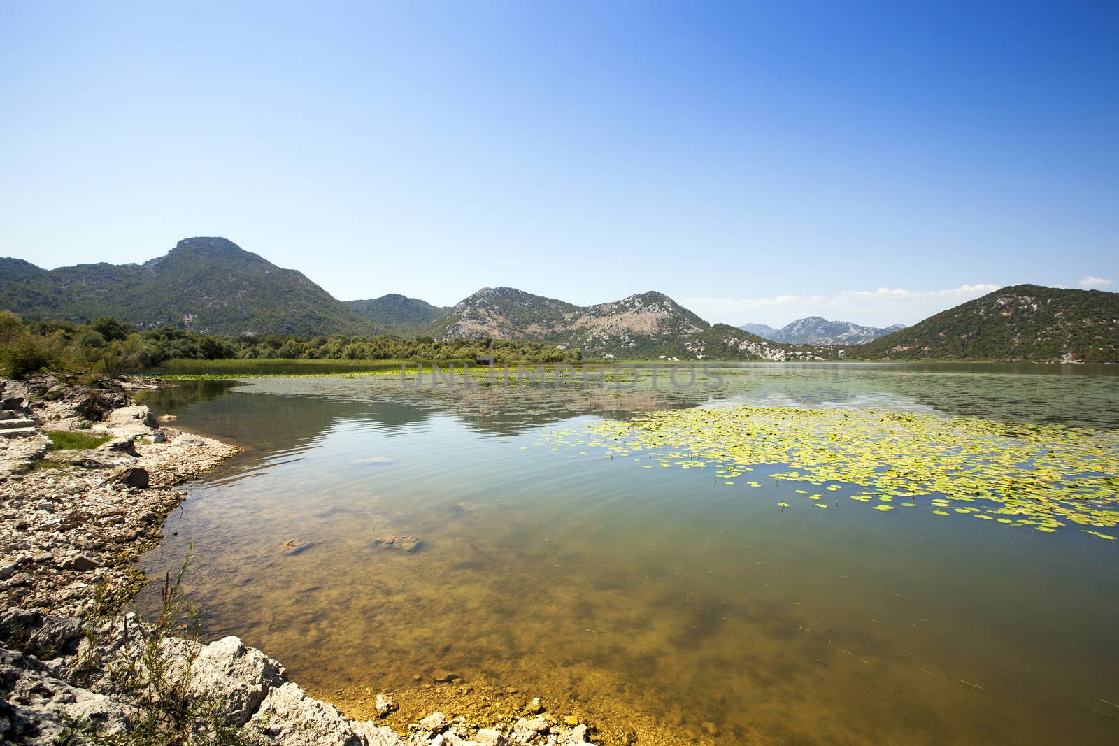   Lake Skadar in summertime of year. Montenegro