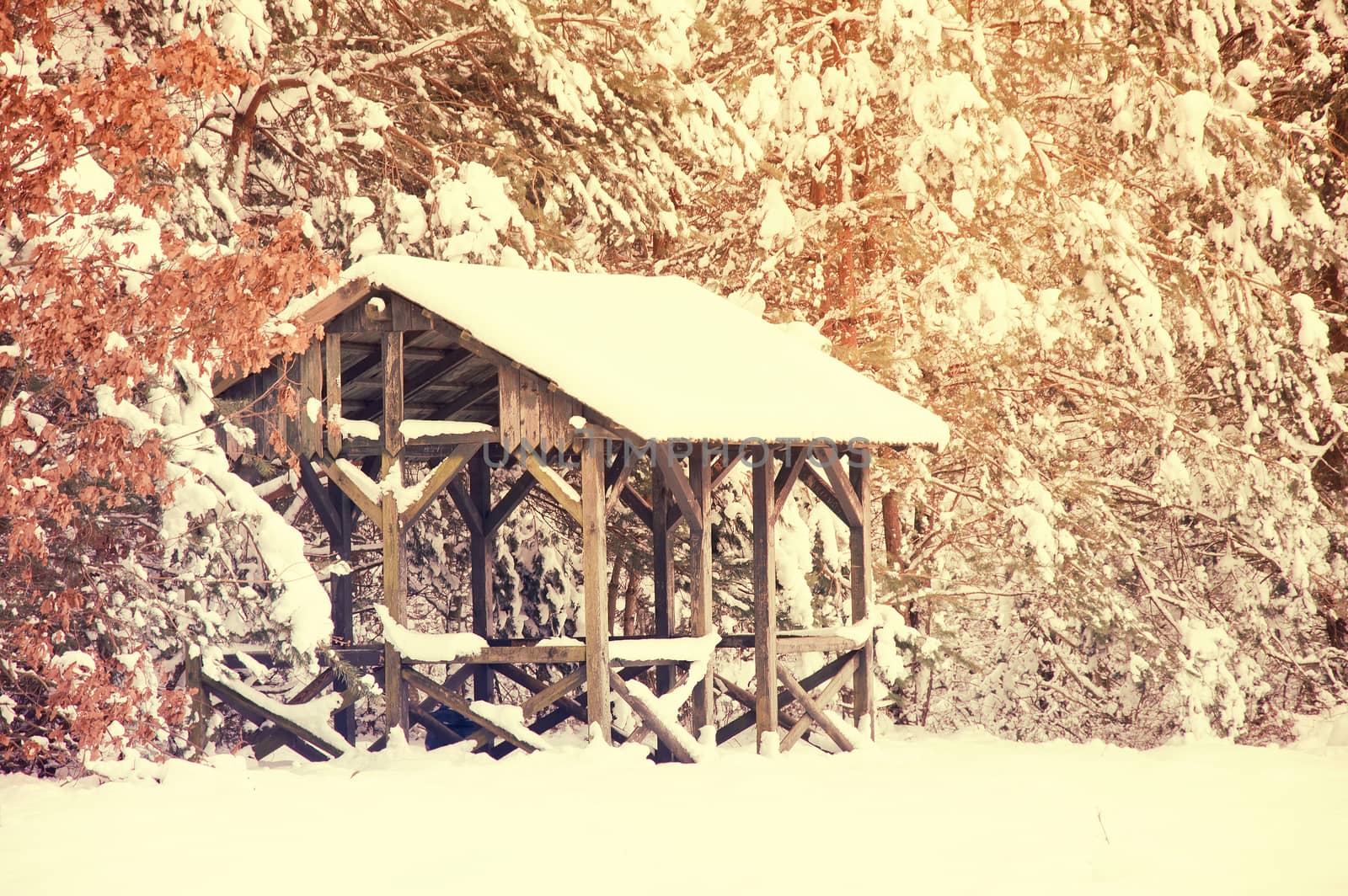 Winter conceptual image. Winter in the forest. Trees and small wooden house covered with snow. Pastel colors picture.