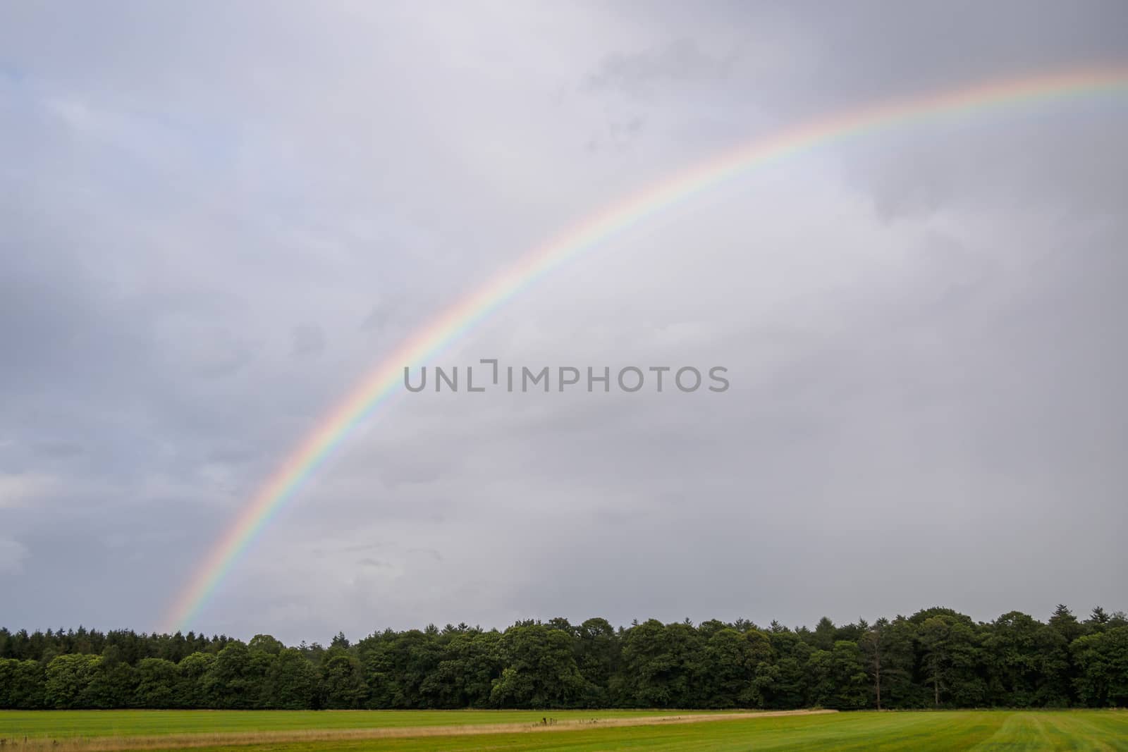 Bright rainbow over field by frankhoekzema