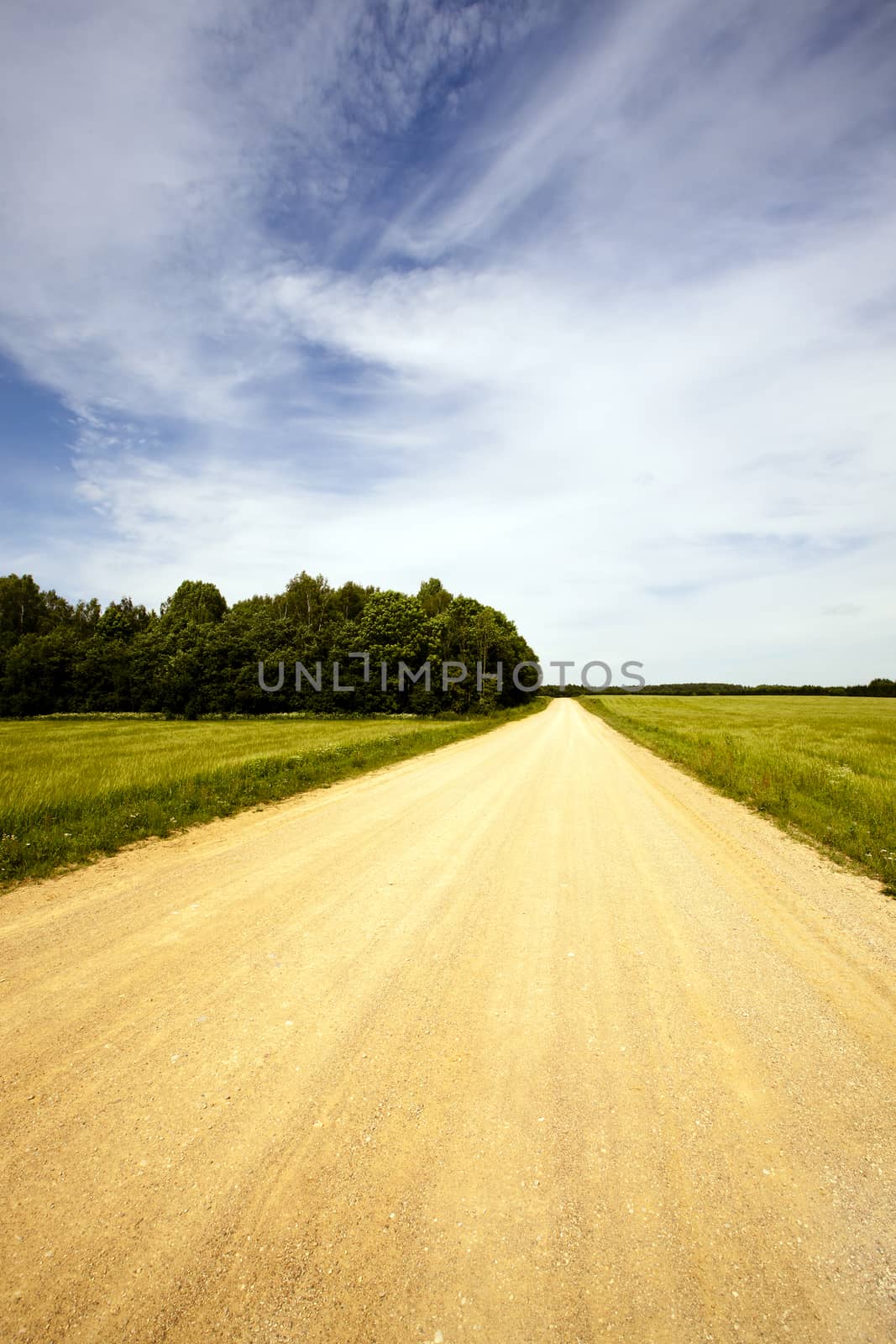  rural road in the summer time year